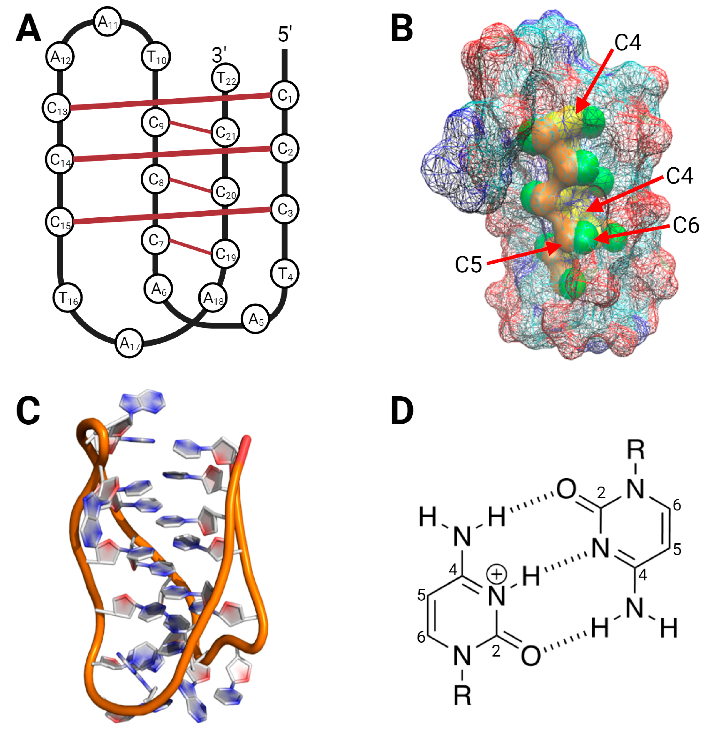 Biomolecules 13 01308 g003 Biomolecules 13 01308 g003
