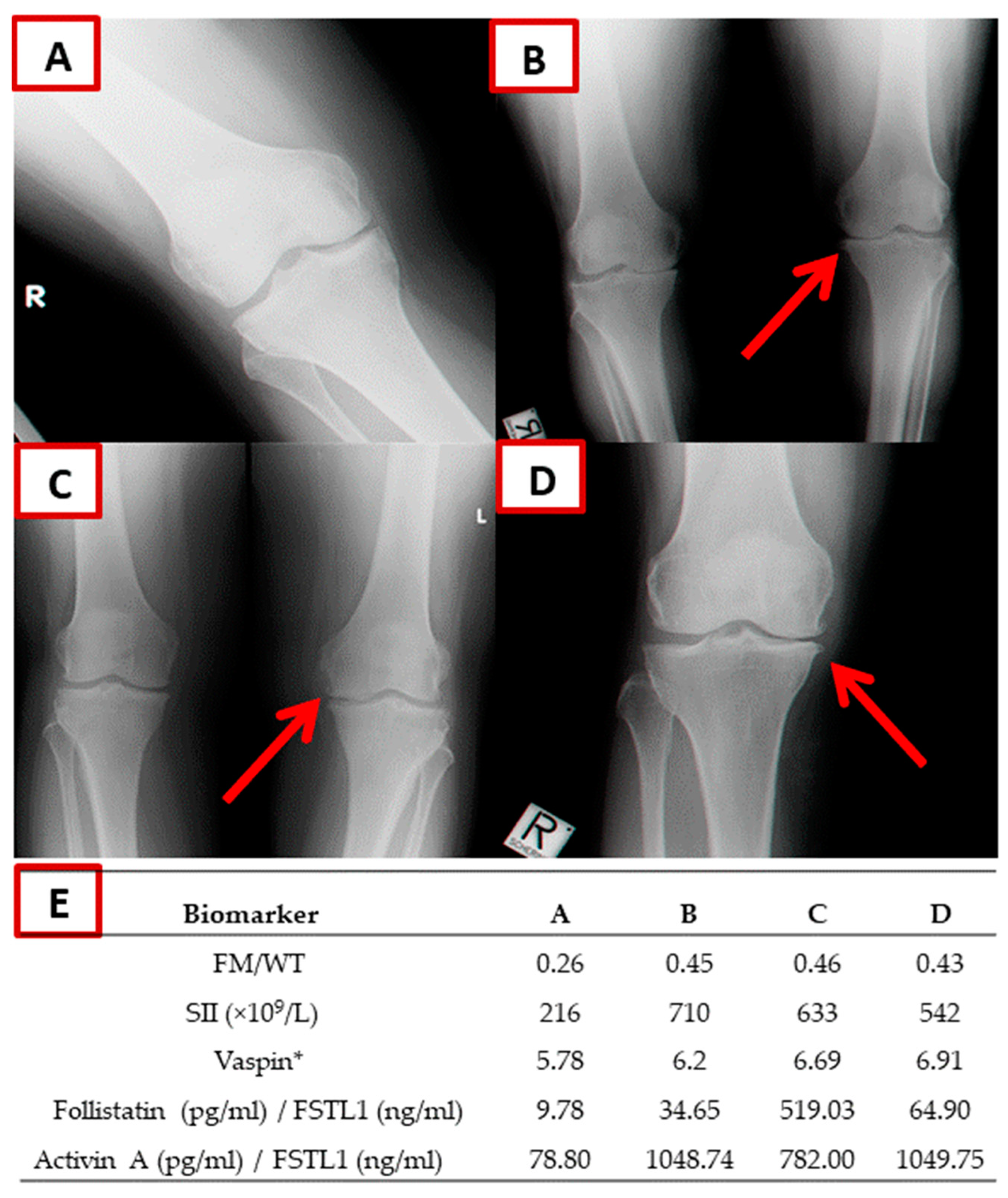 Biomolecules 13 01315 g001