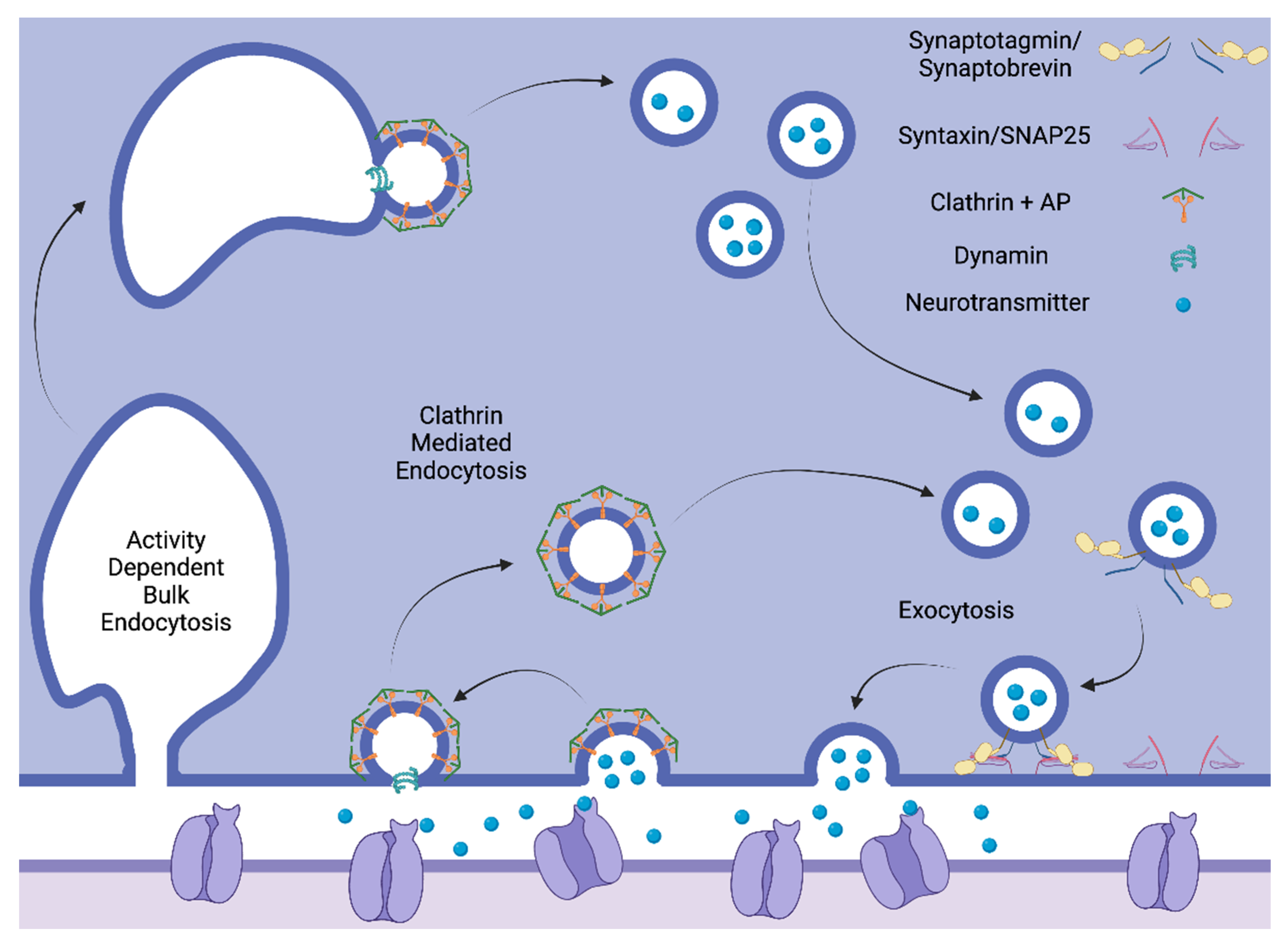Biomolecules 13 01317 g002 Biomolecules 13 01317 g002