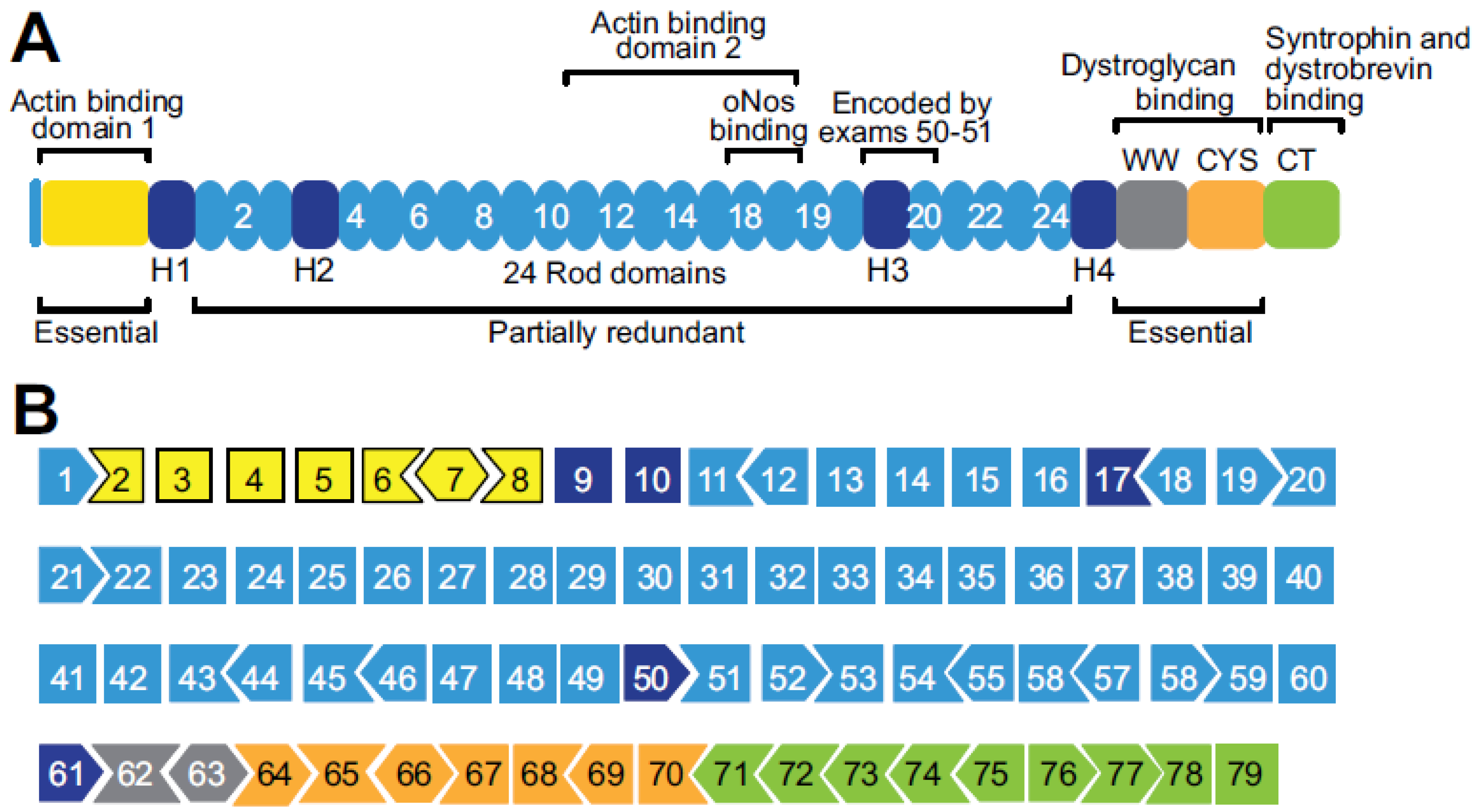 Biomolecules 13 01319 g001