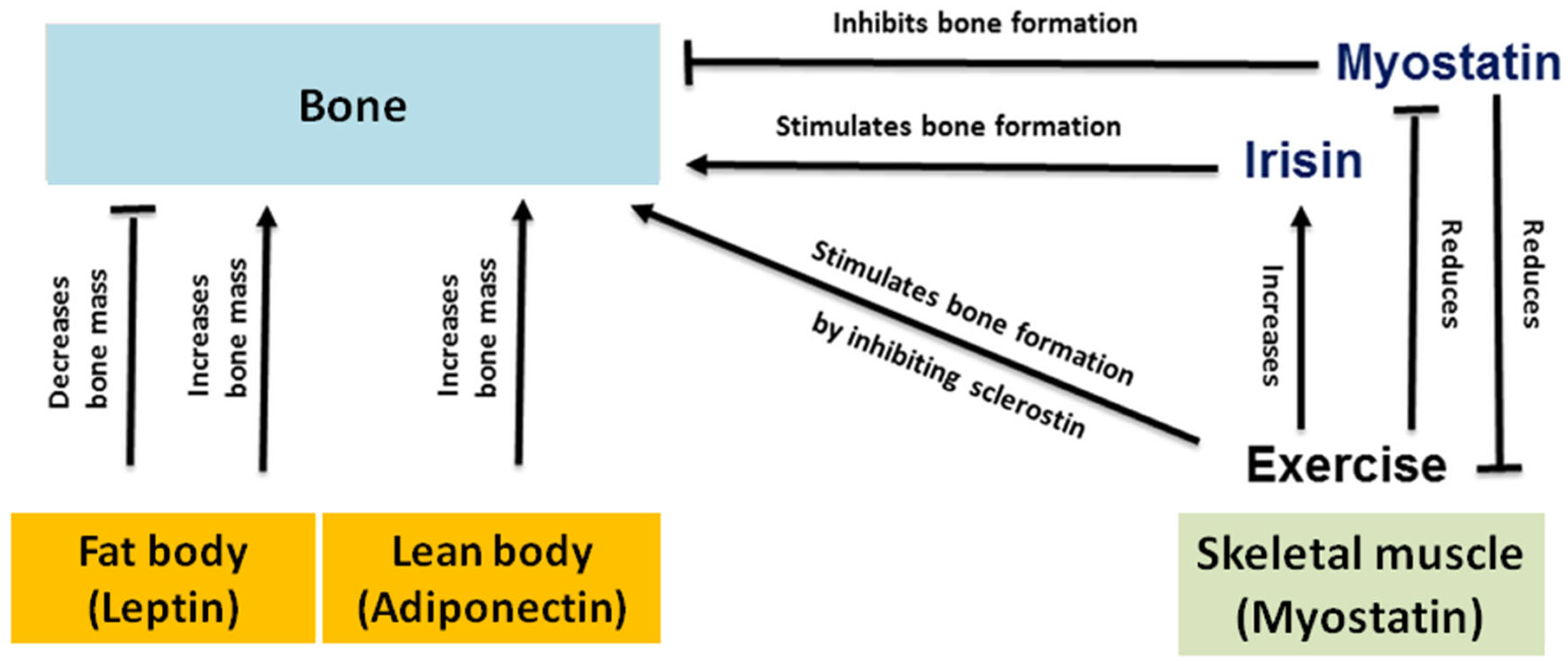 Biomolecules 13 01319 g002