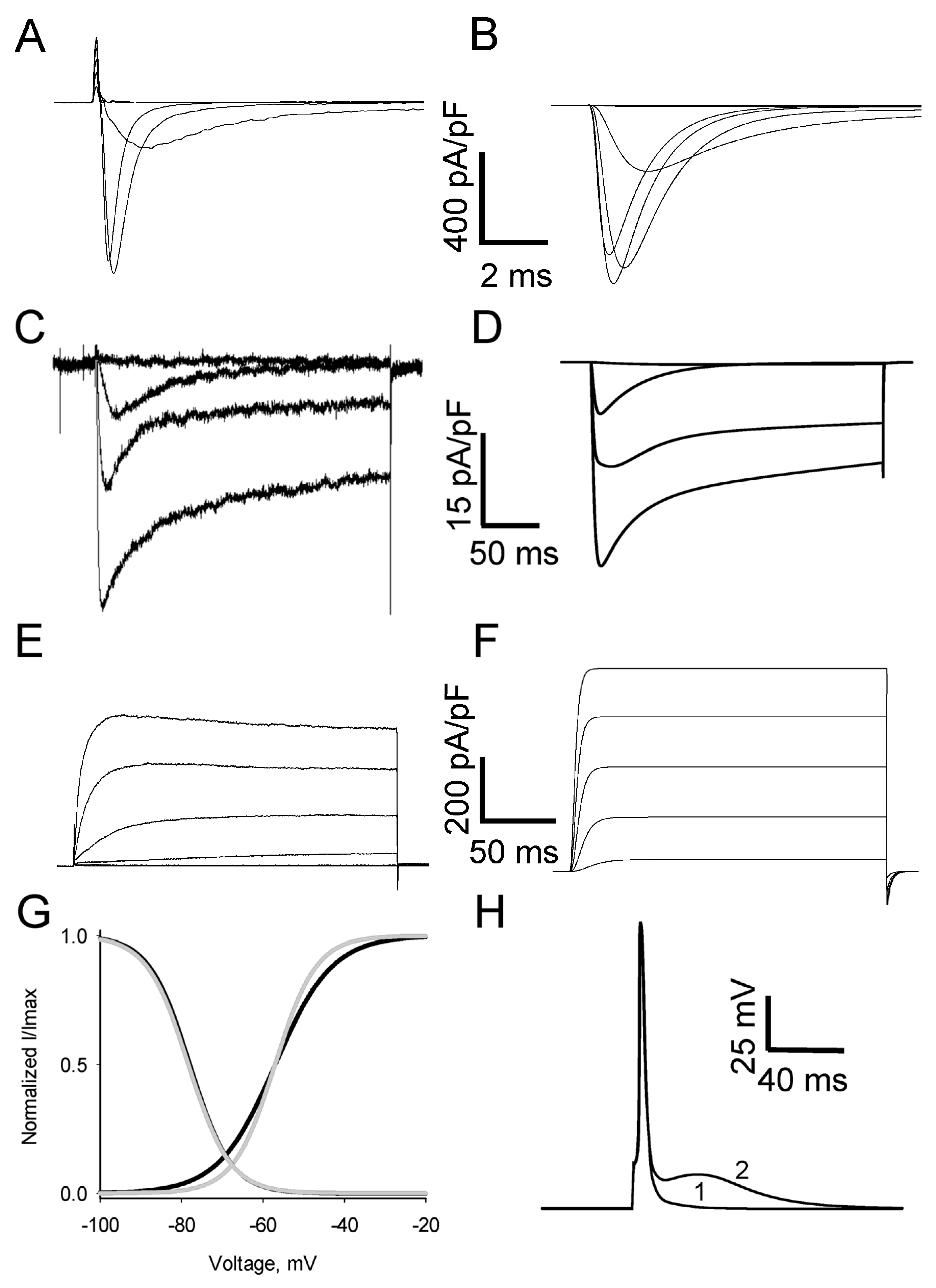 Biomolecules 13 01320 g001 Biomolecules 13 01320 g001