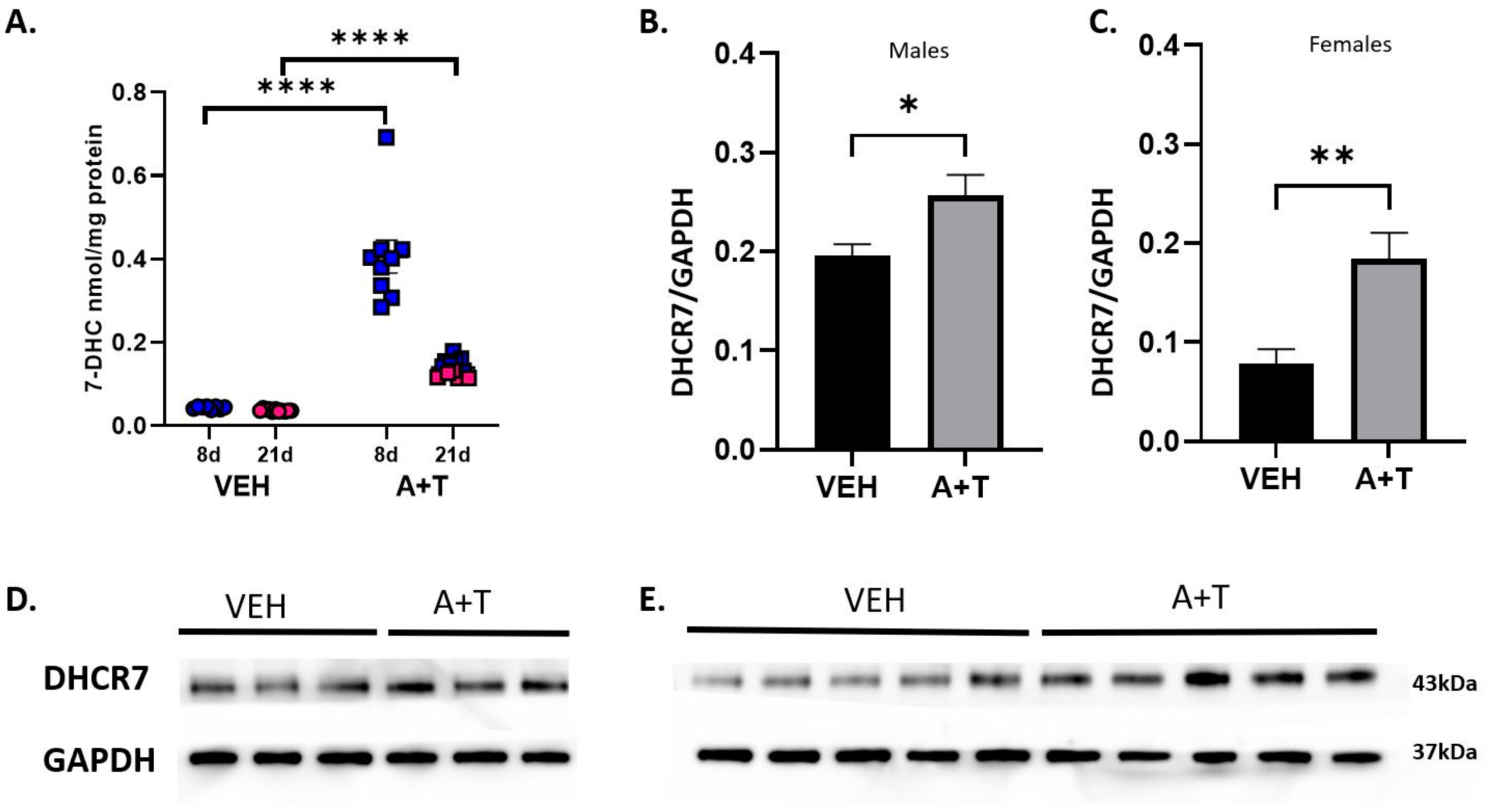 Biomolecules 13 01321 g004 Biomolecules 13 01321 g004