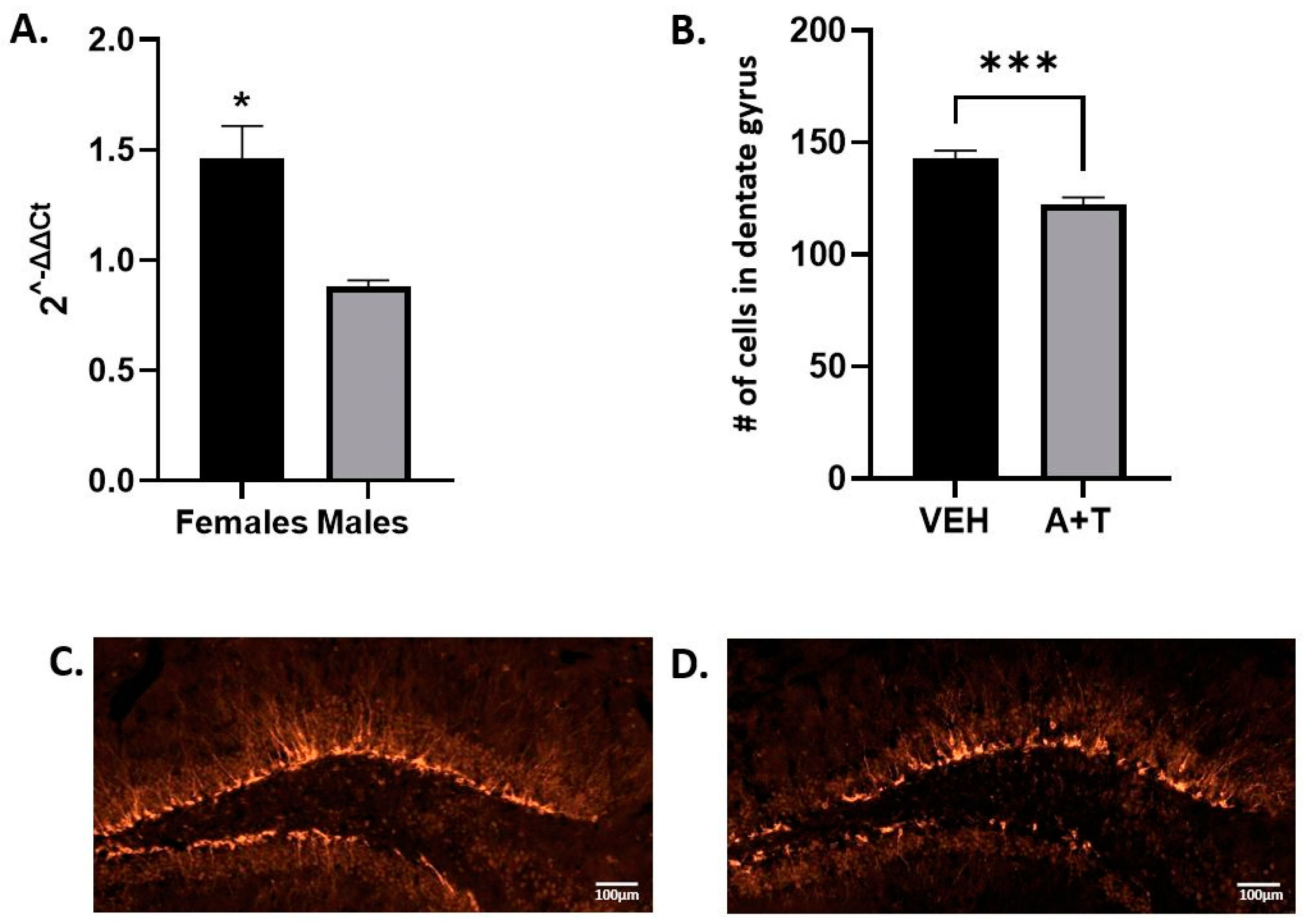 Biomolecules 13 01321 g005 Biomolecules 13 01321 g005