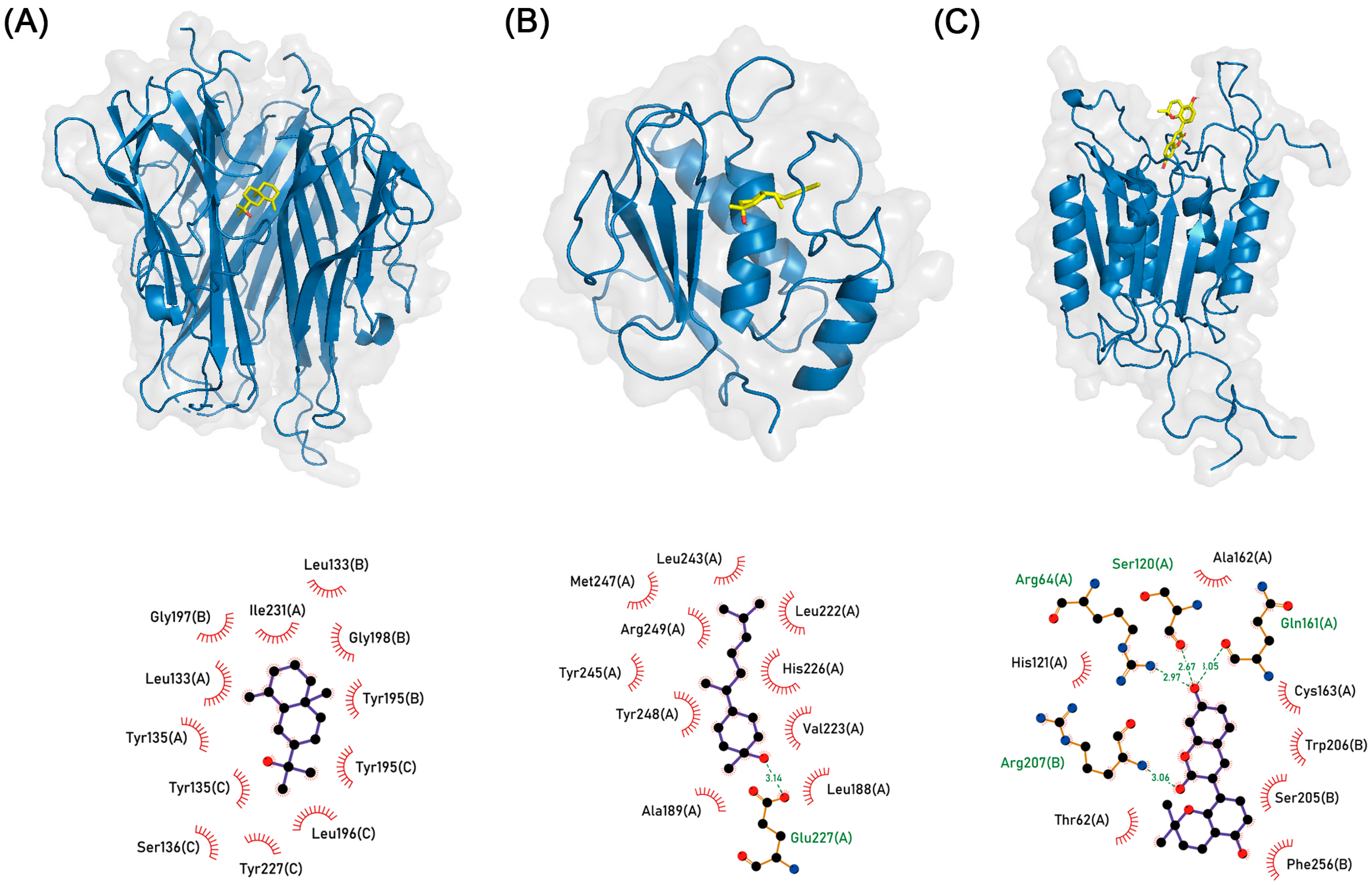 Biomolecules 13 01322 g009