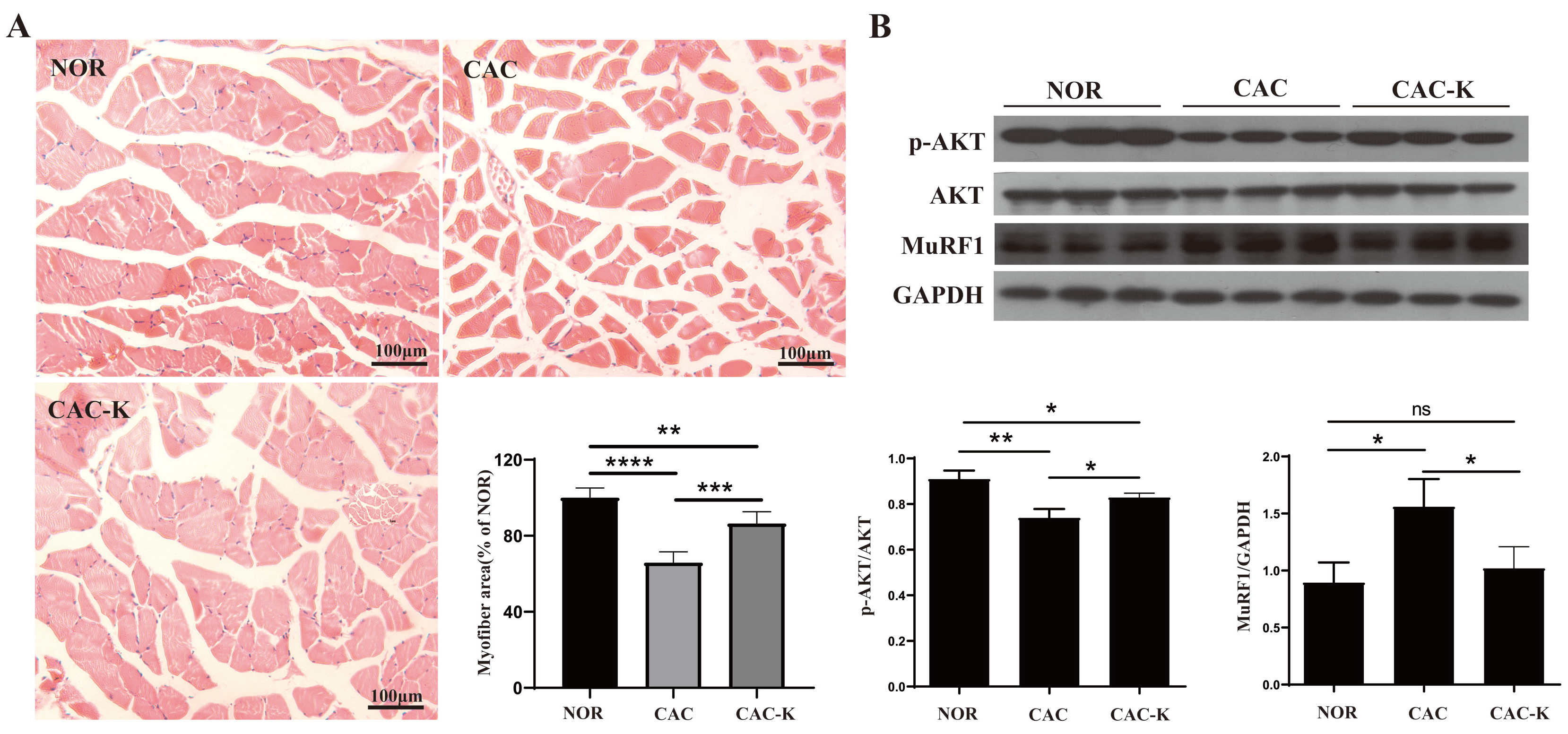Biomolecules 13 01330 g004