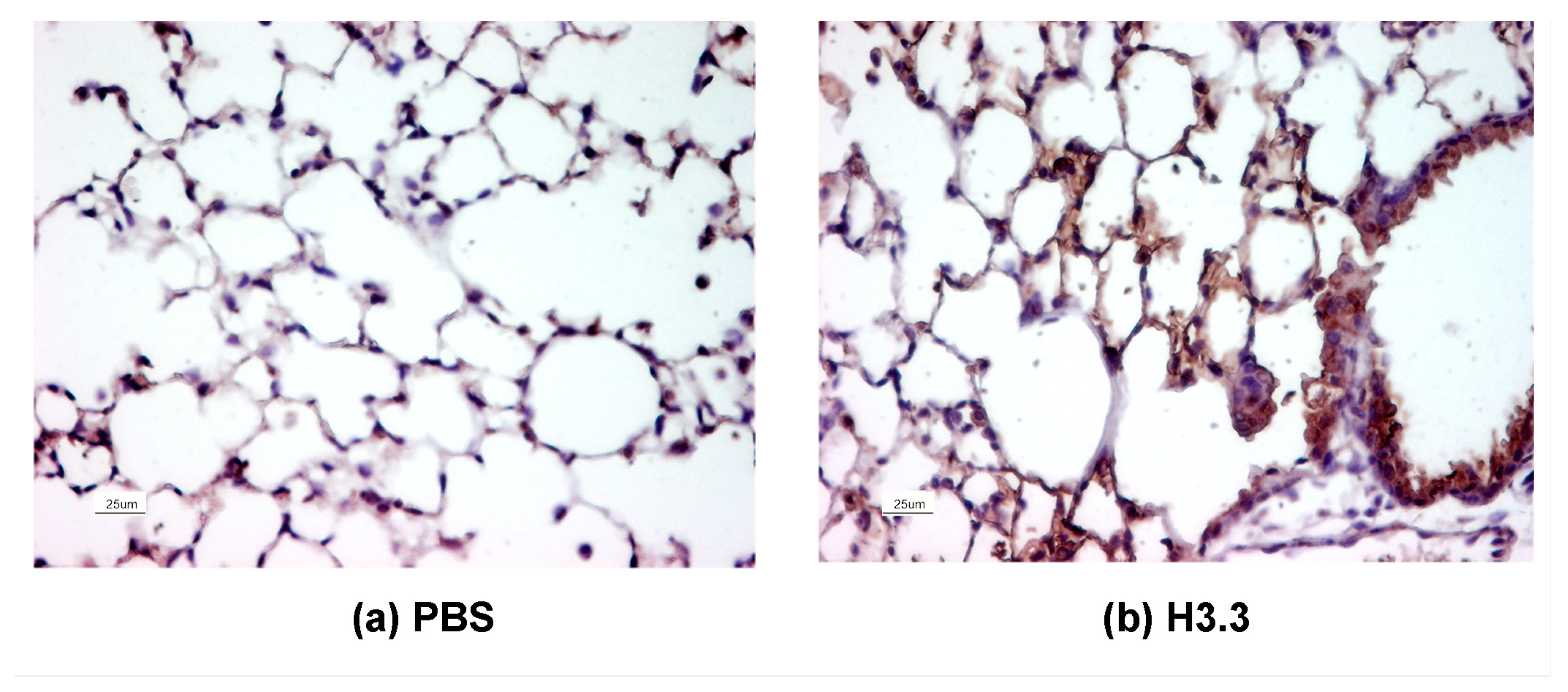 Biomolecules 13 01334 g001