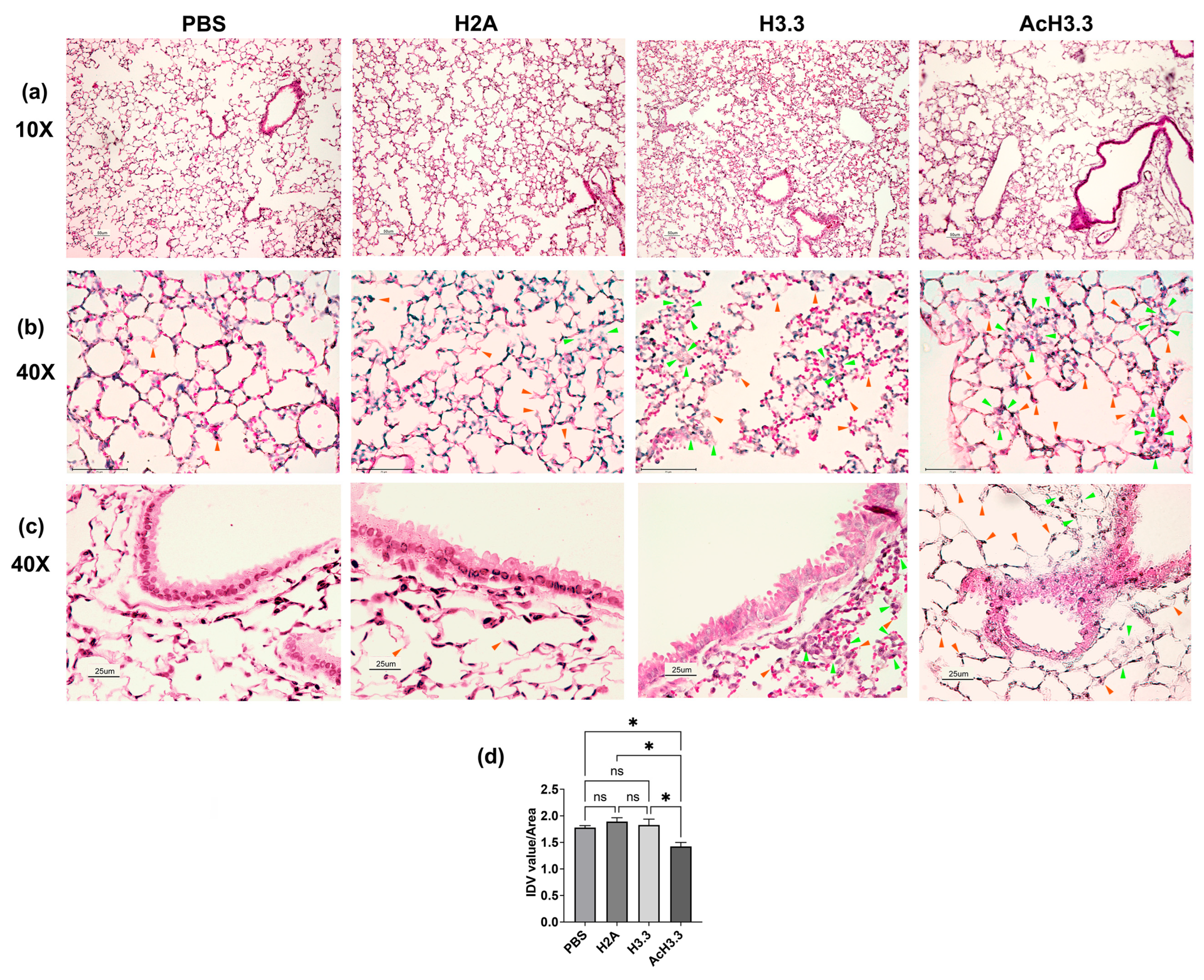 Biomolecules 13 01334 g002