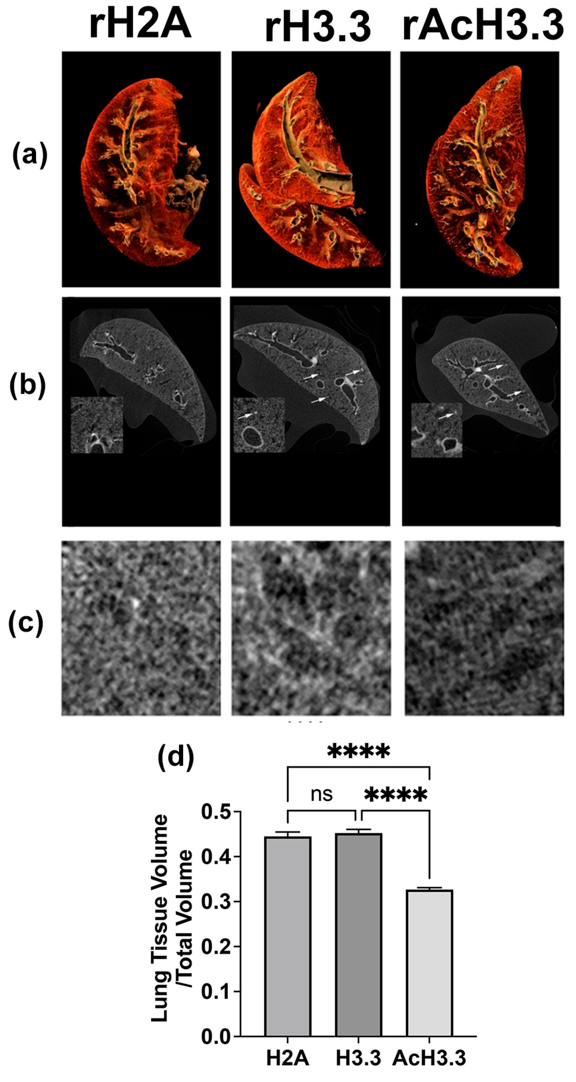 Biomolecules 13 01334 g003