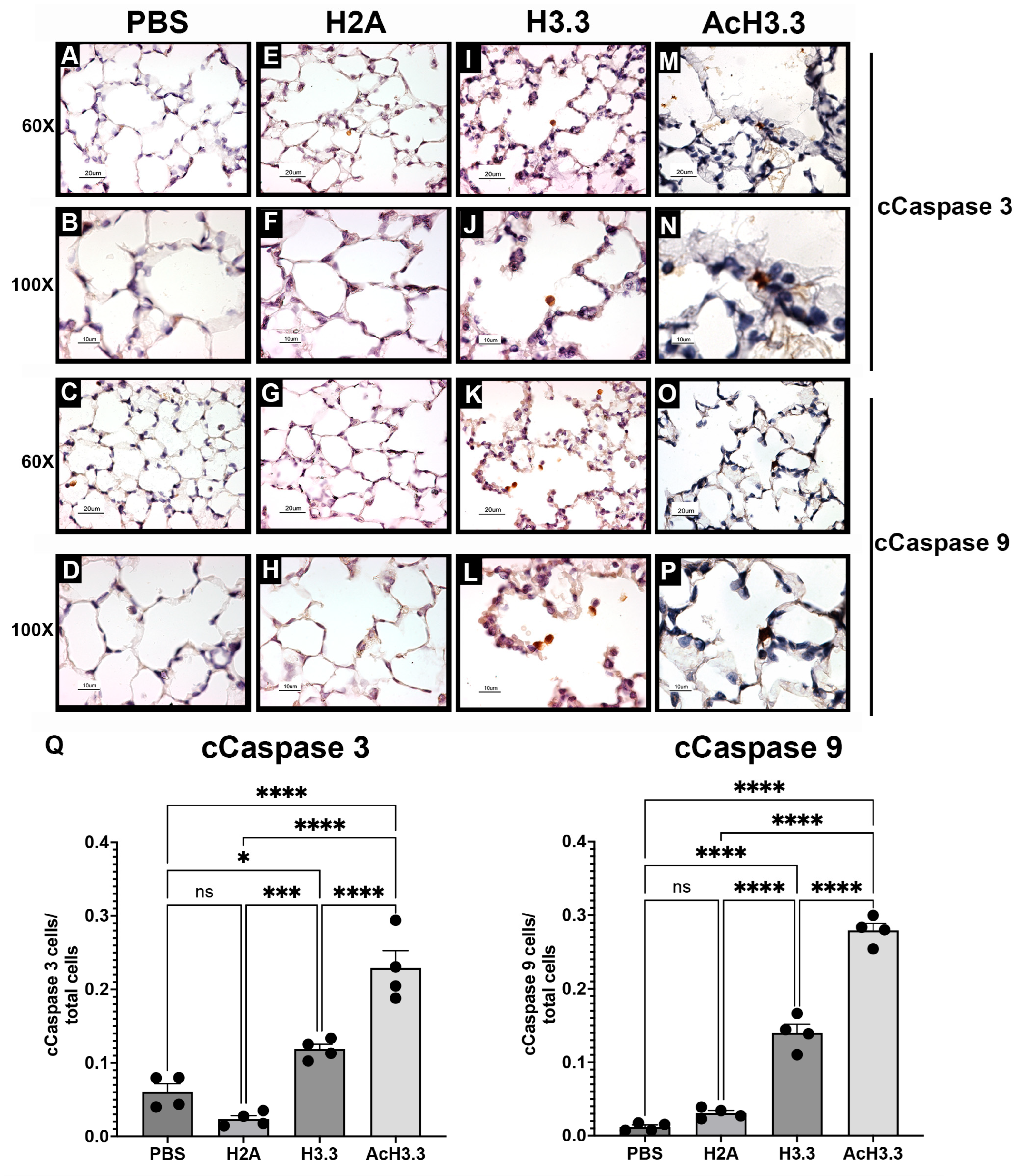 Biomolecules 13 01334 g005