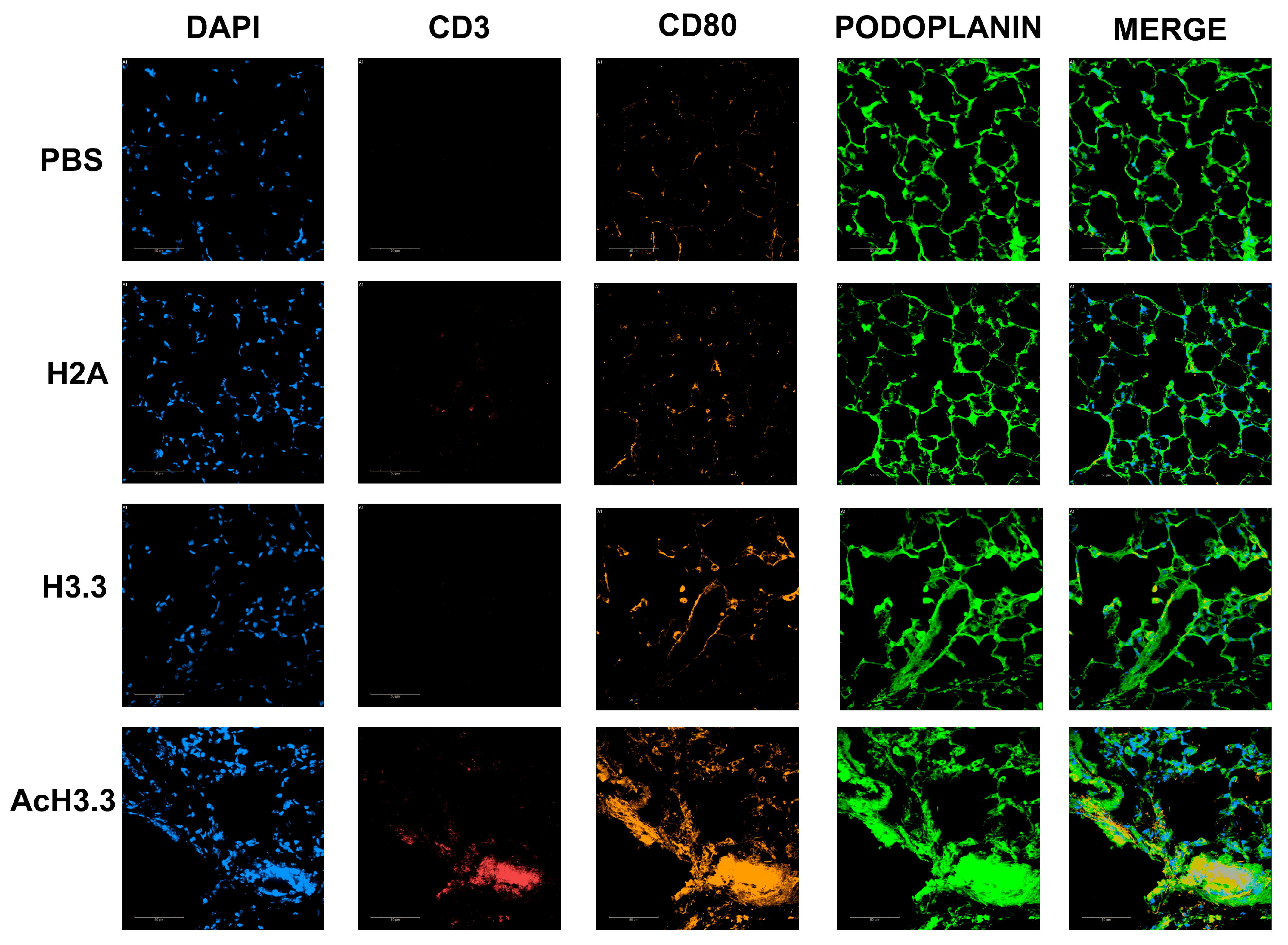 Biomolecules 13 01334 g007