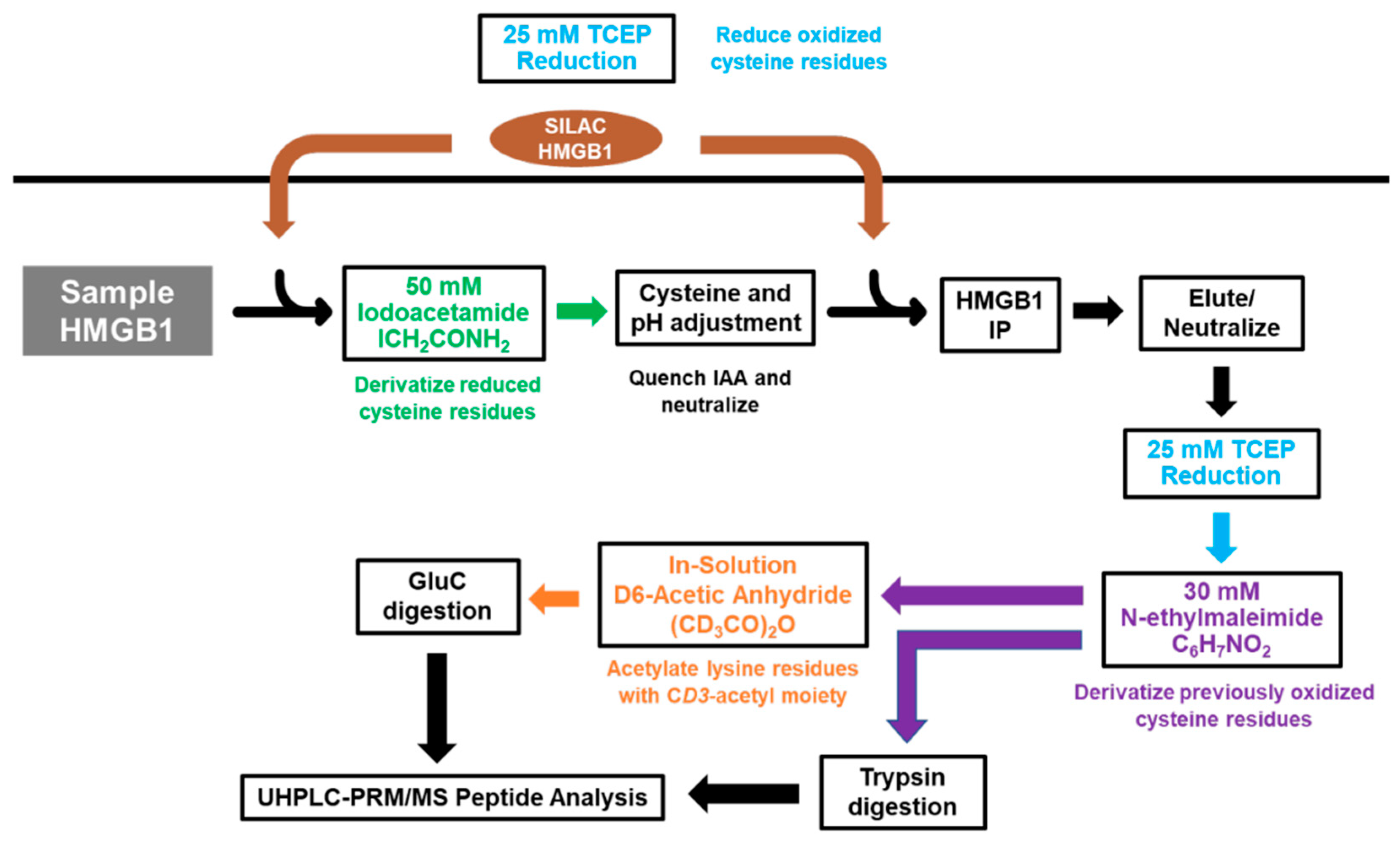 Biomolecules 13 01335 sch002