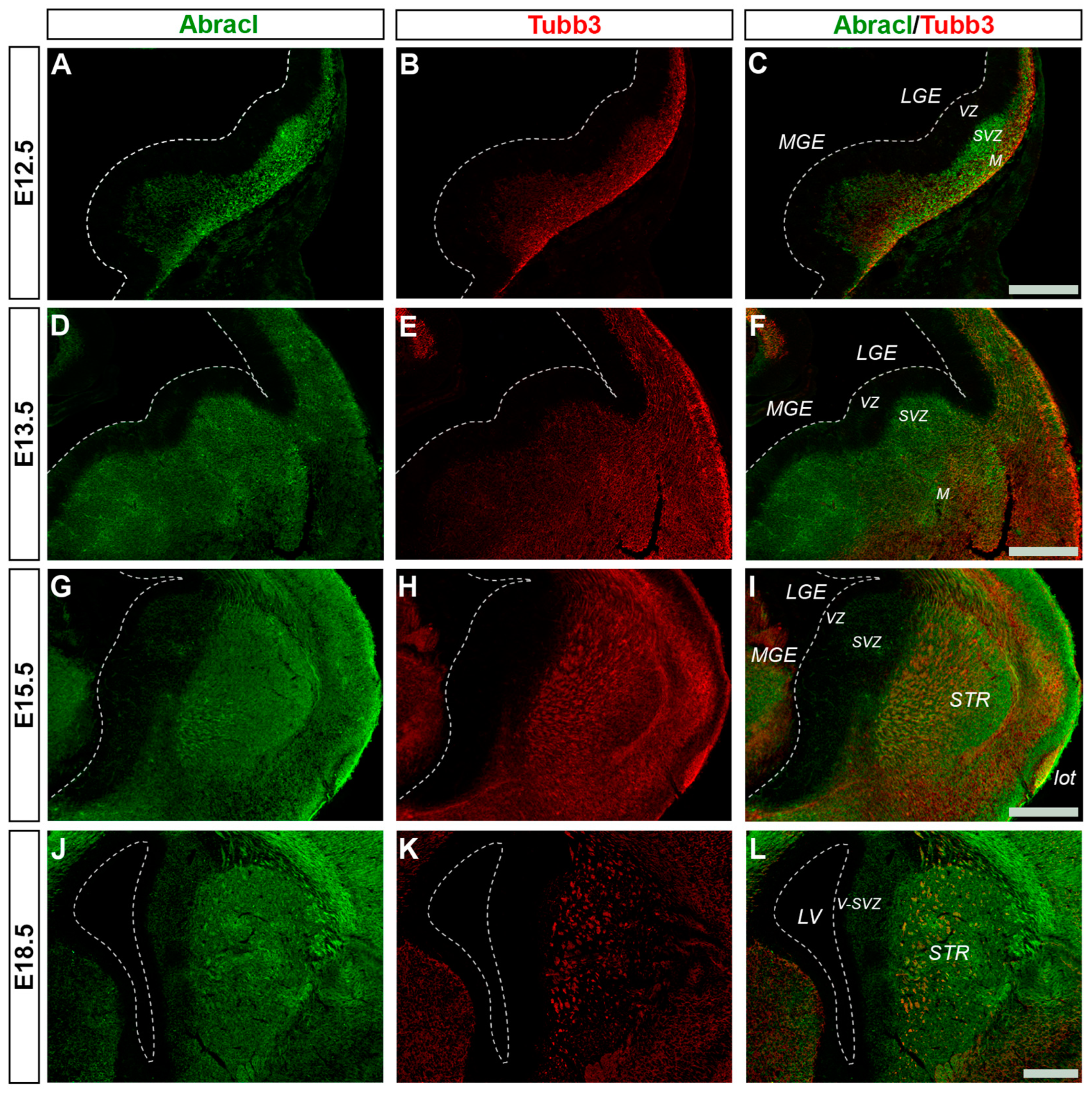 Biomolecules 13 01337 g005