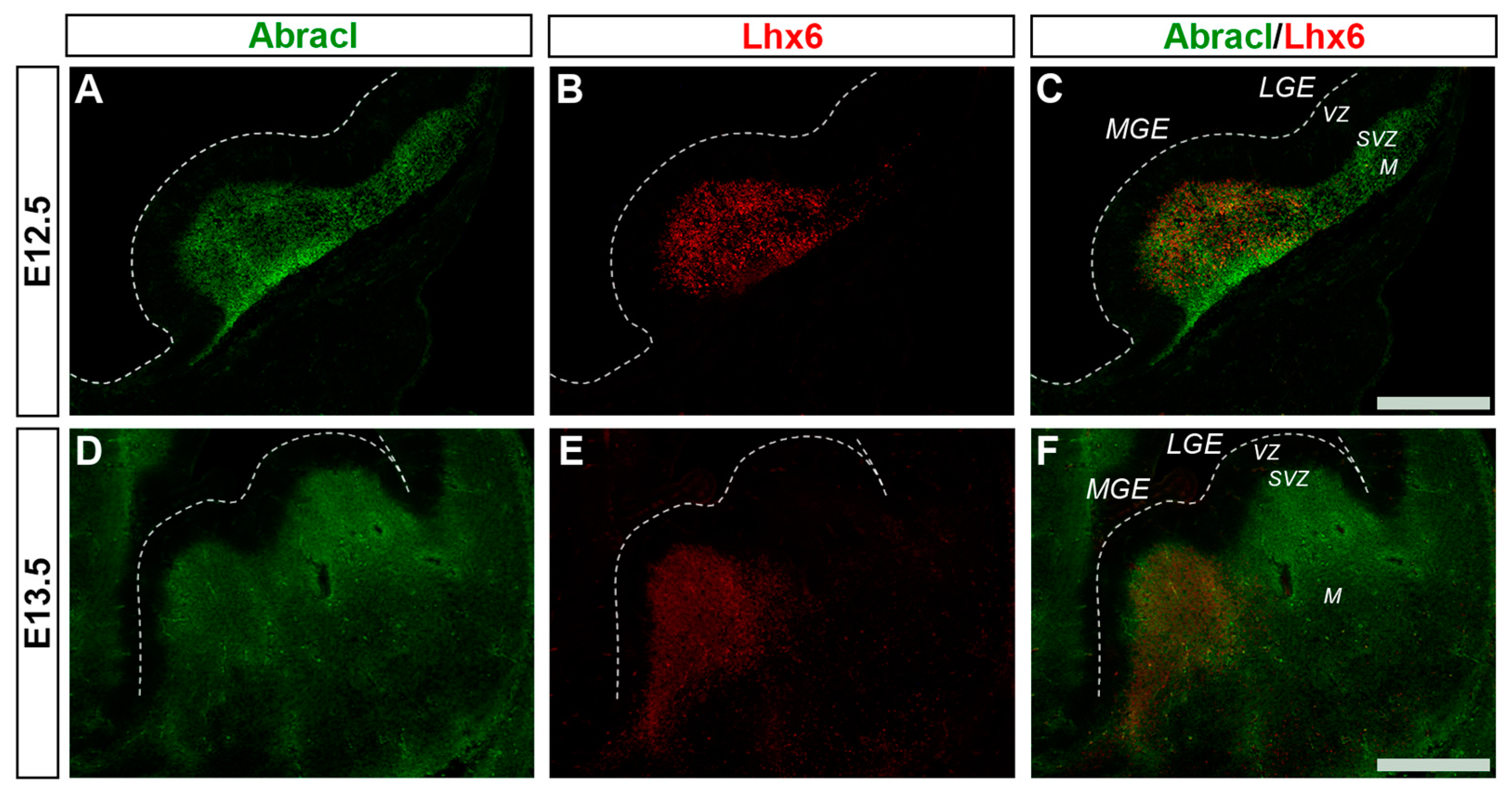 Biomolecules 13 01337 g006