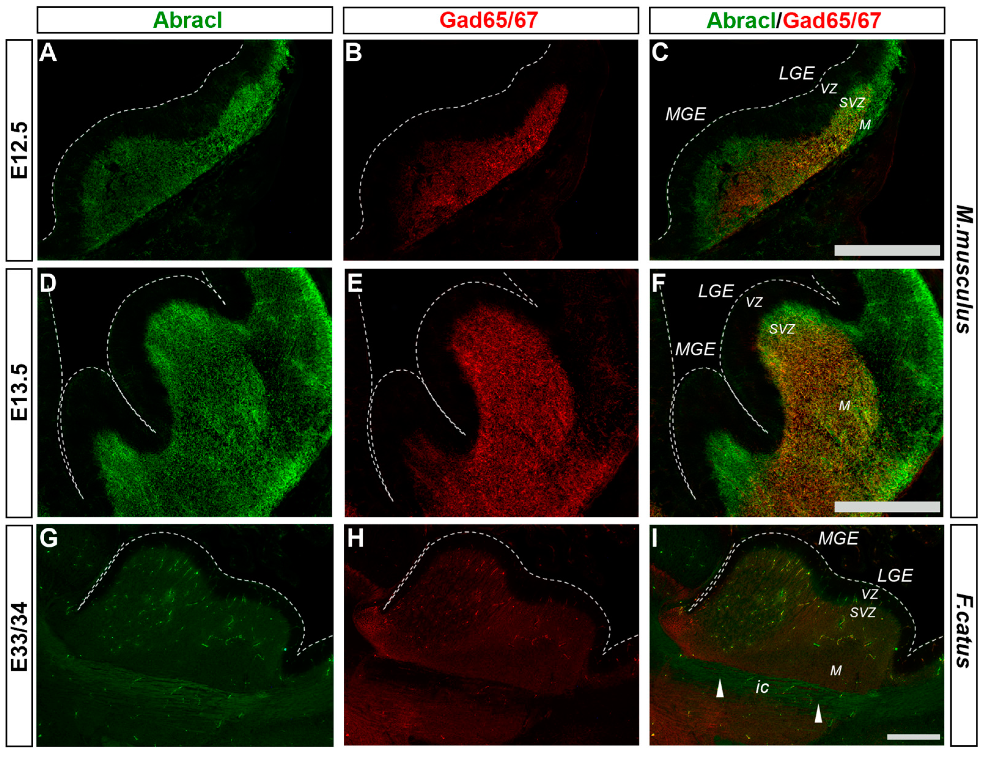 Biomolecules 13 01337 g007