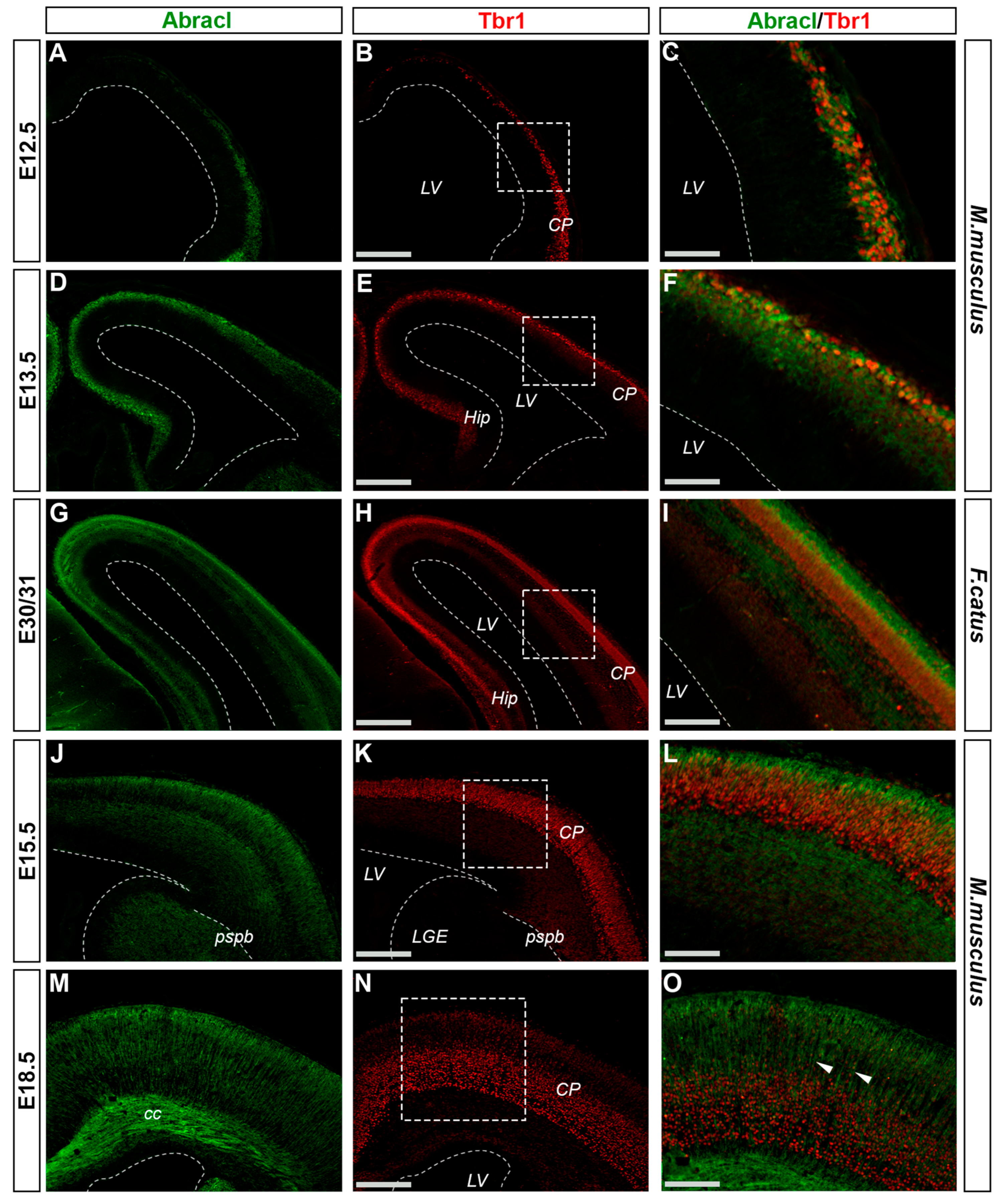 Biomolecules 13 01337 g009
