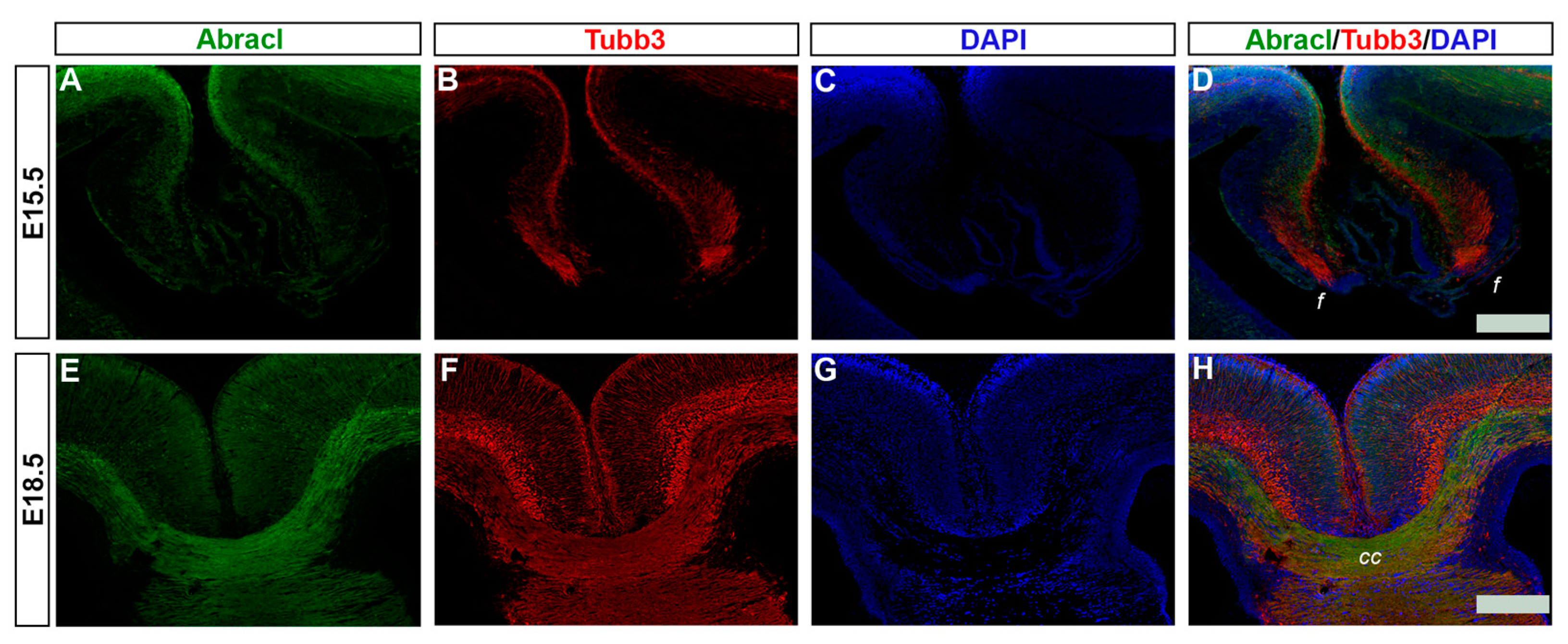 Biomolecules 13 01337 g013