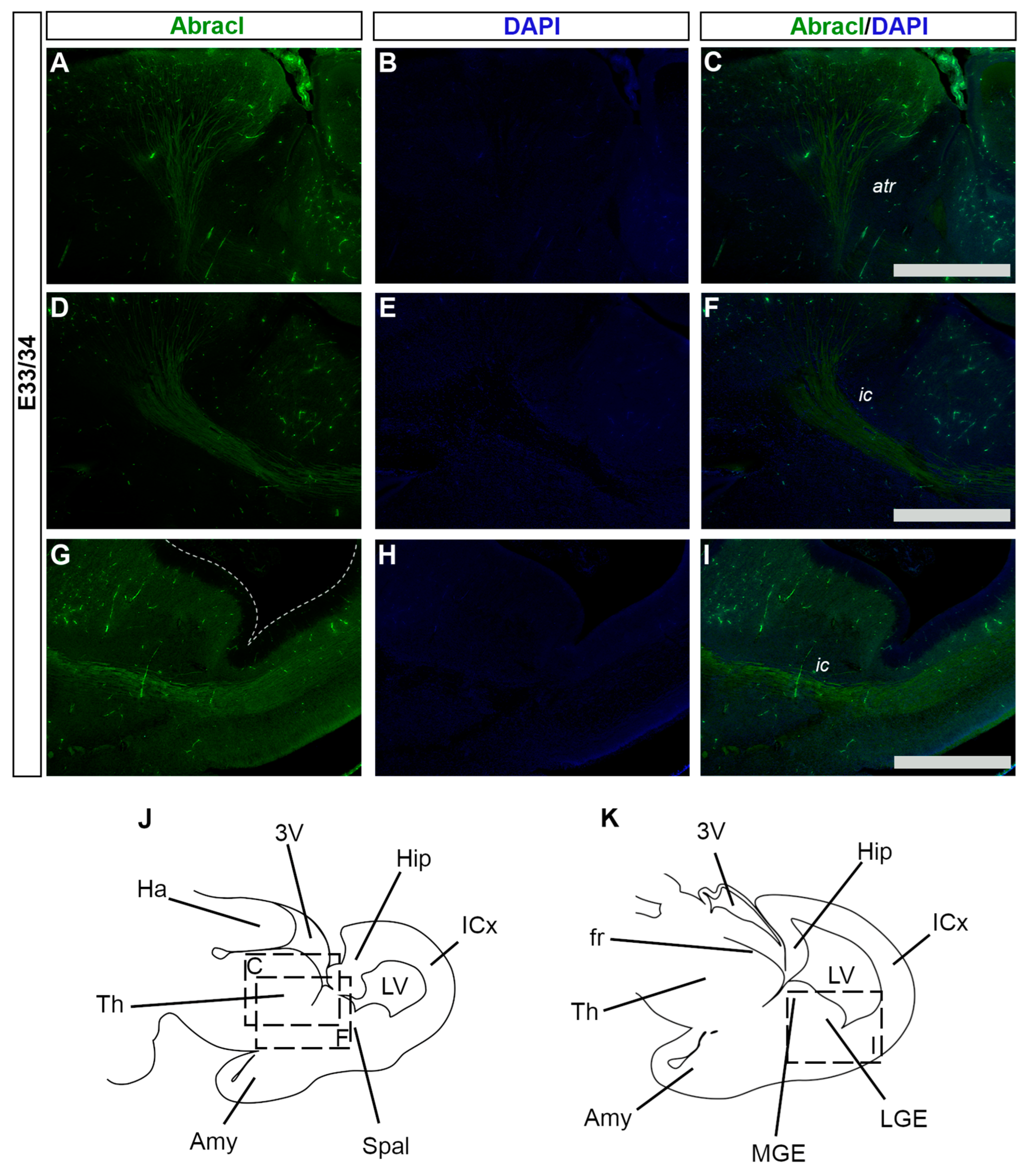 Biomolecules 13 01337 g014