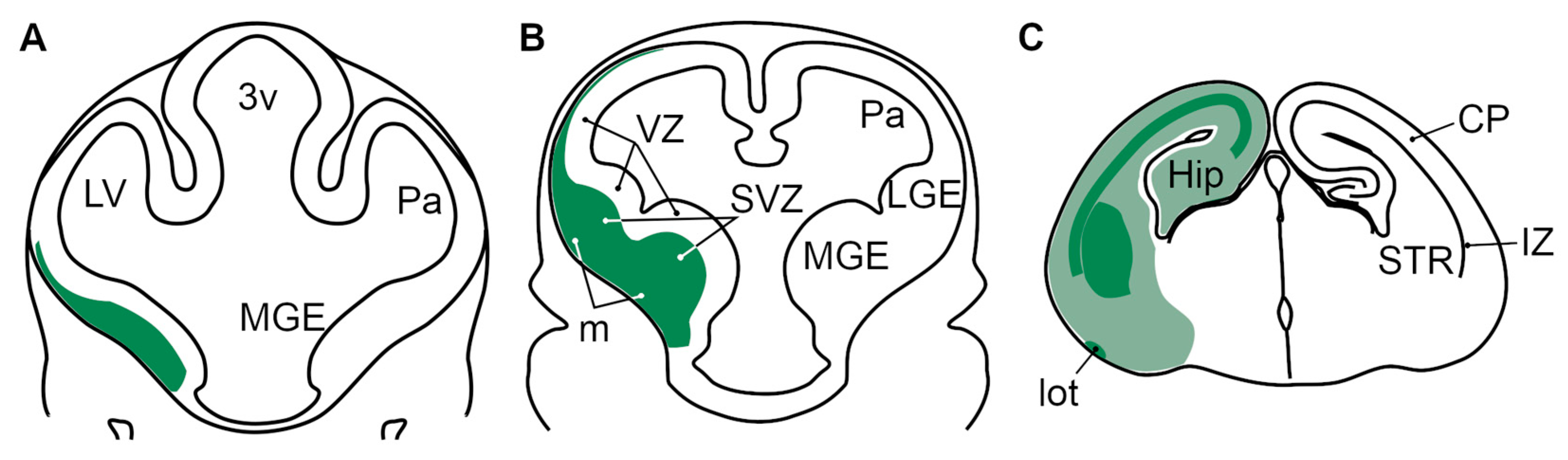 Biomolecules 13 01337 g015