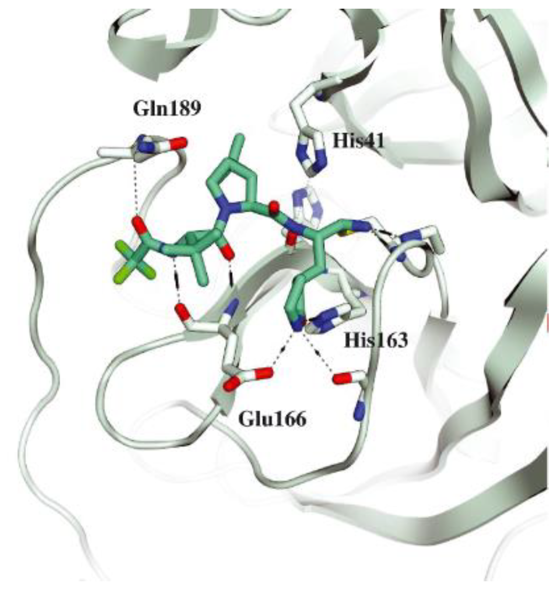 Biomolecules 13 01339 g006