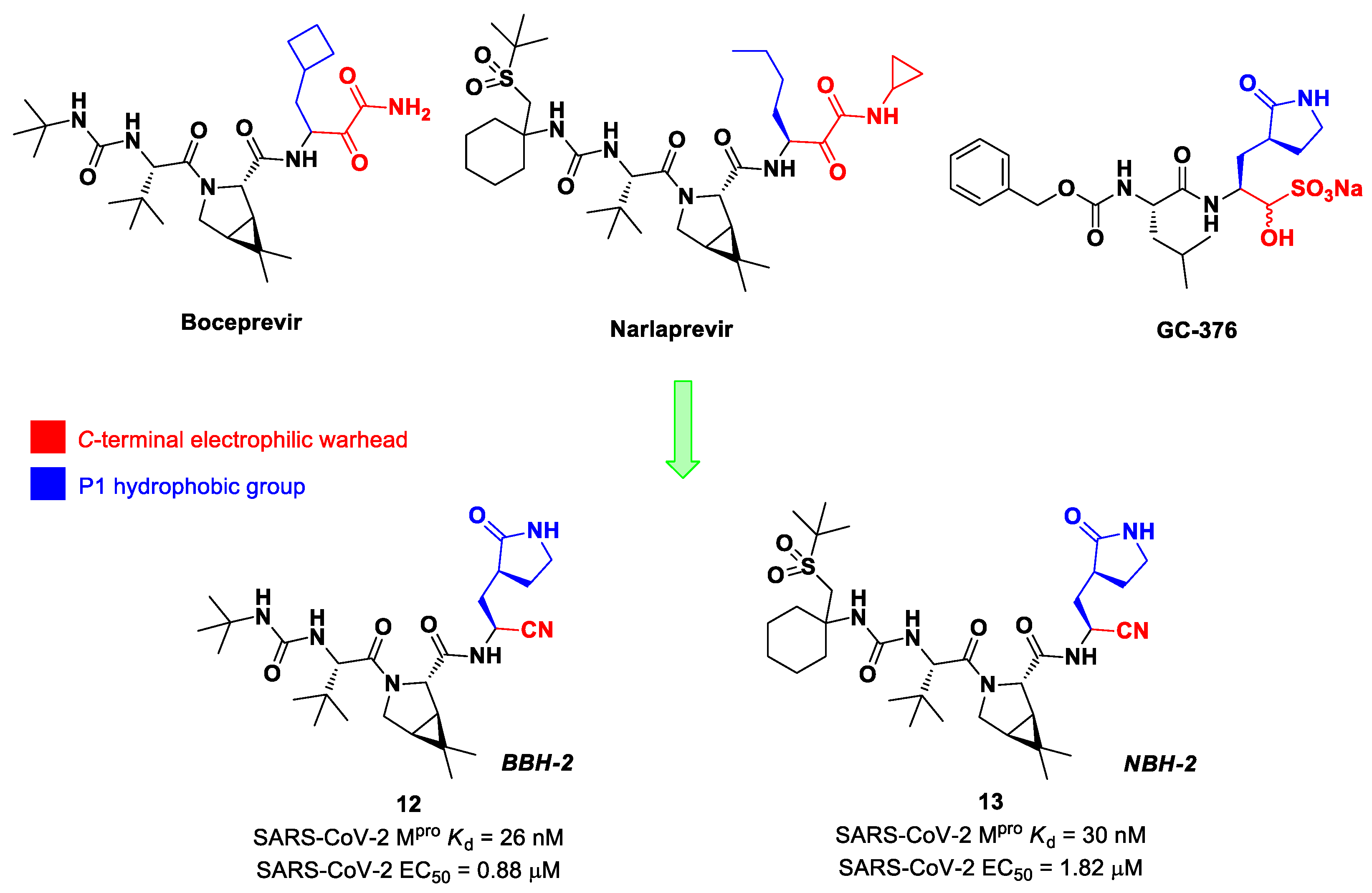 Biomolecules 13 01339 g009