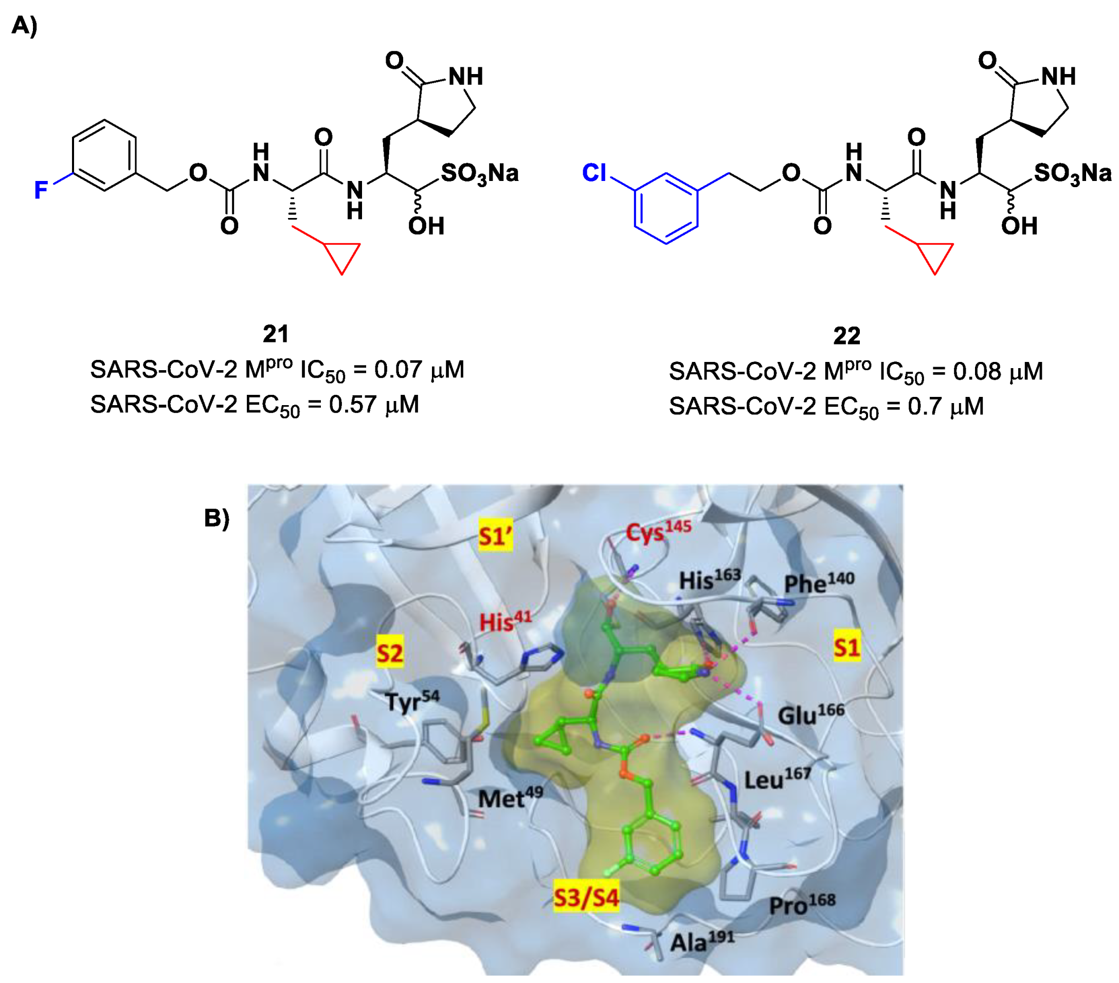 Biomolecules 13 01339 g014