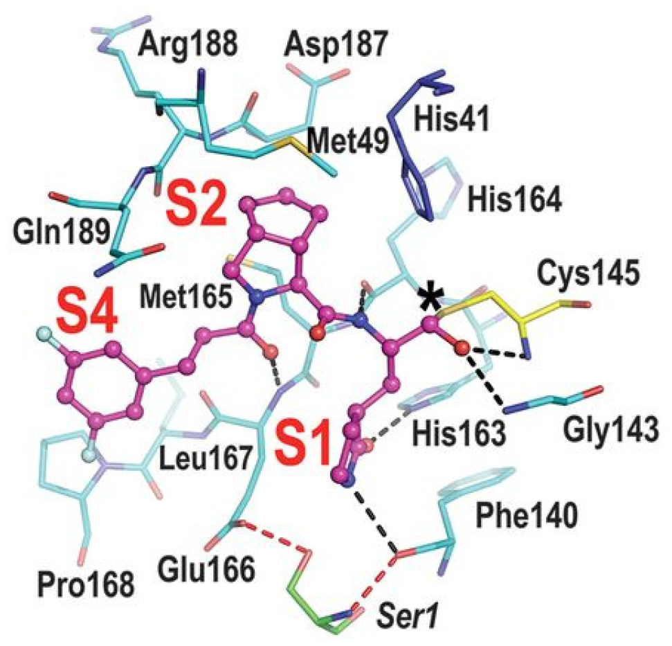 Biomolecules 13 01339 g017
