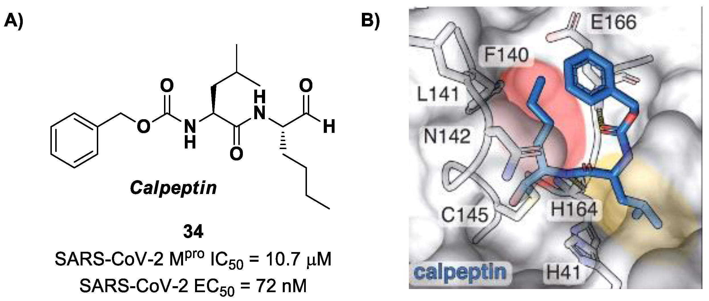 Biomolecules 13 01339 g022