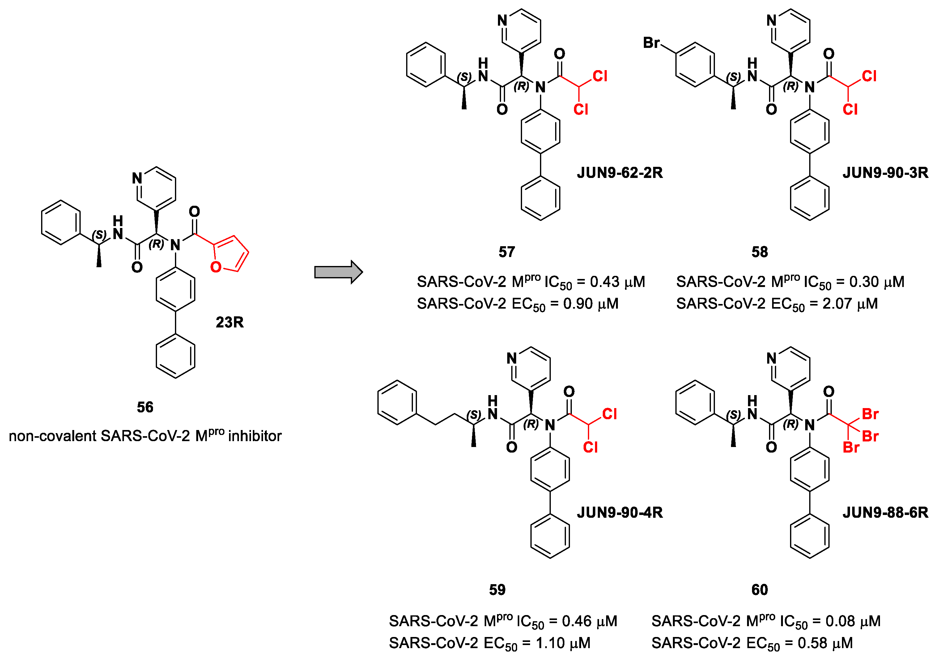 Biomolecules 13 01339 g036