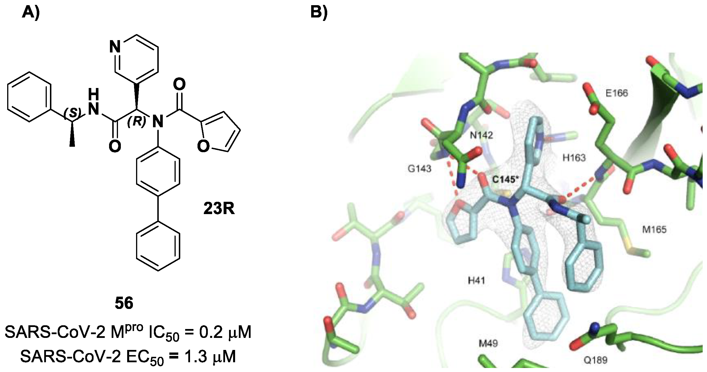 Biomolecules 13 01339 g069