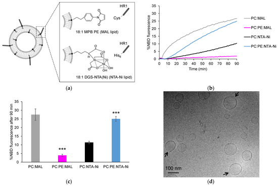 Role of Lipids and Divalent Cations in Membrane Fusion Mediated by the ...