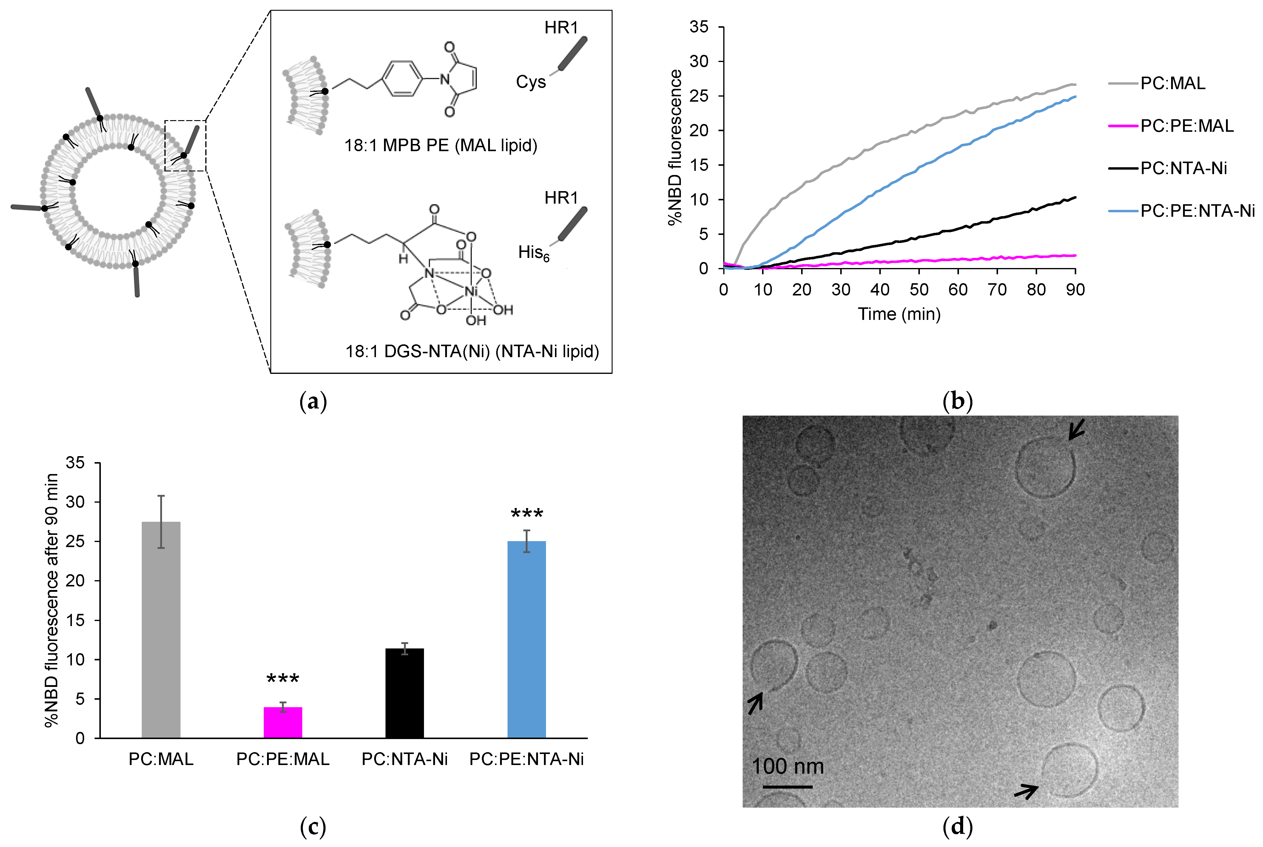 Biomolecules 13 01341 g001