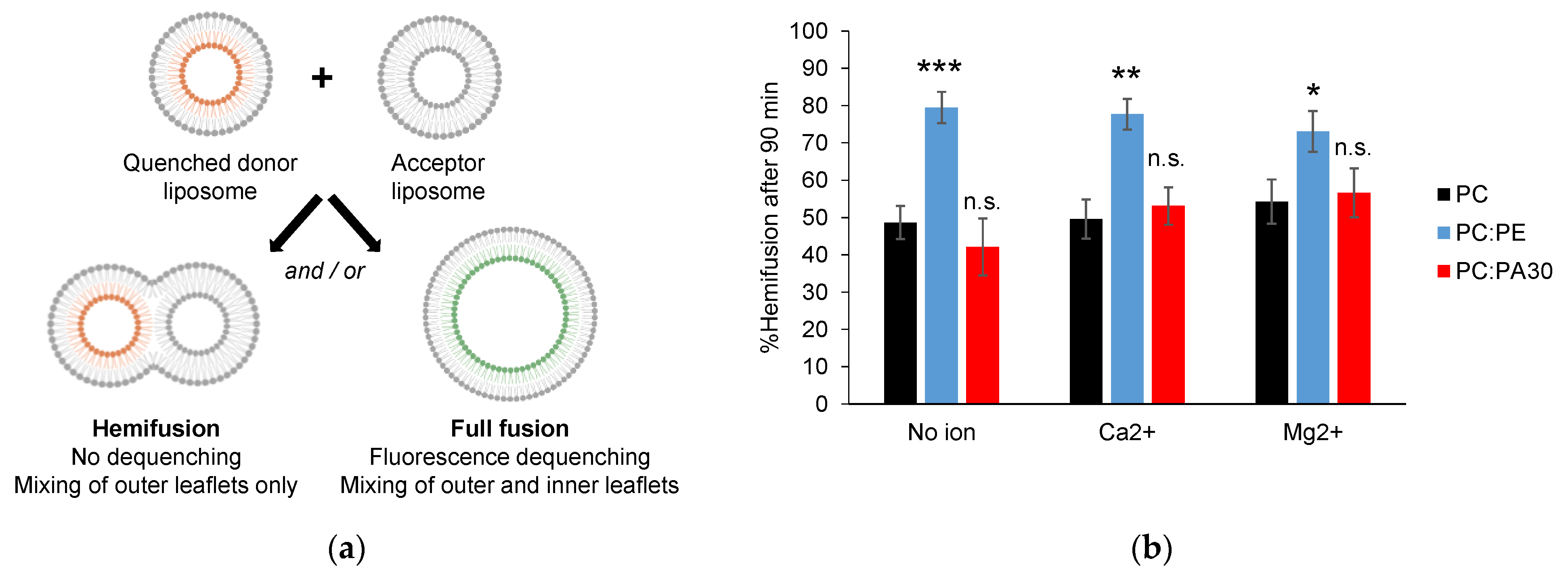 Biomolecules 13 01341 g005
