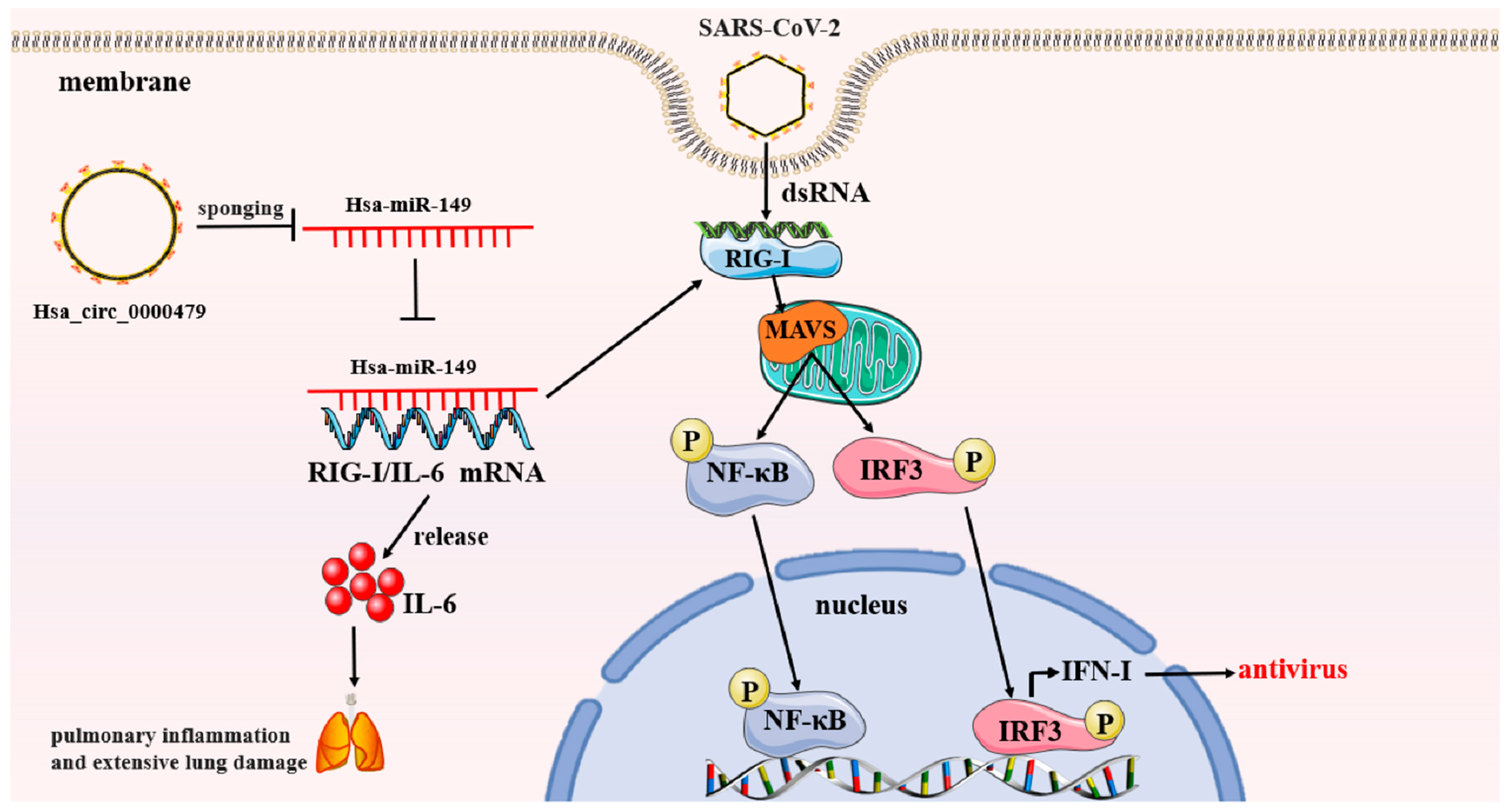 Biomolecules 13 01344 g003