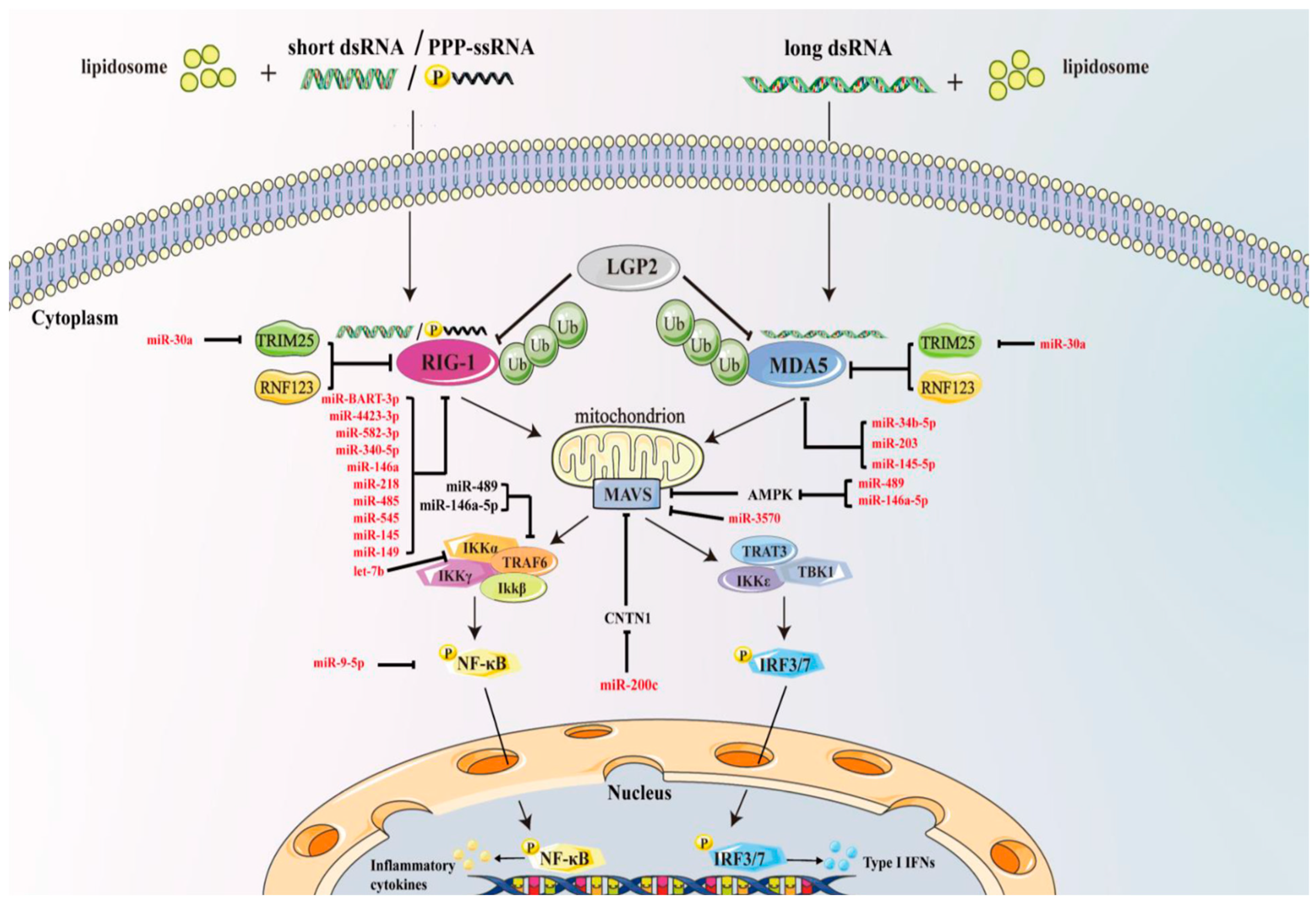 Biomolecules 13 01344 g004