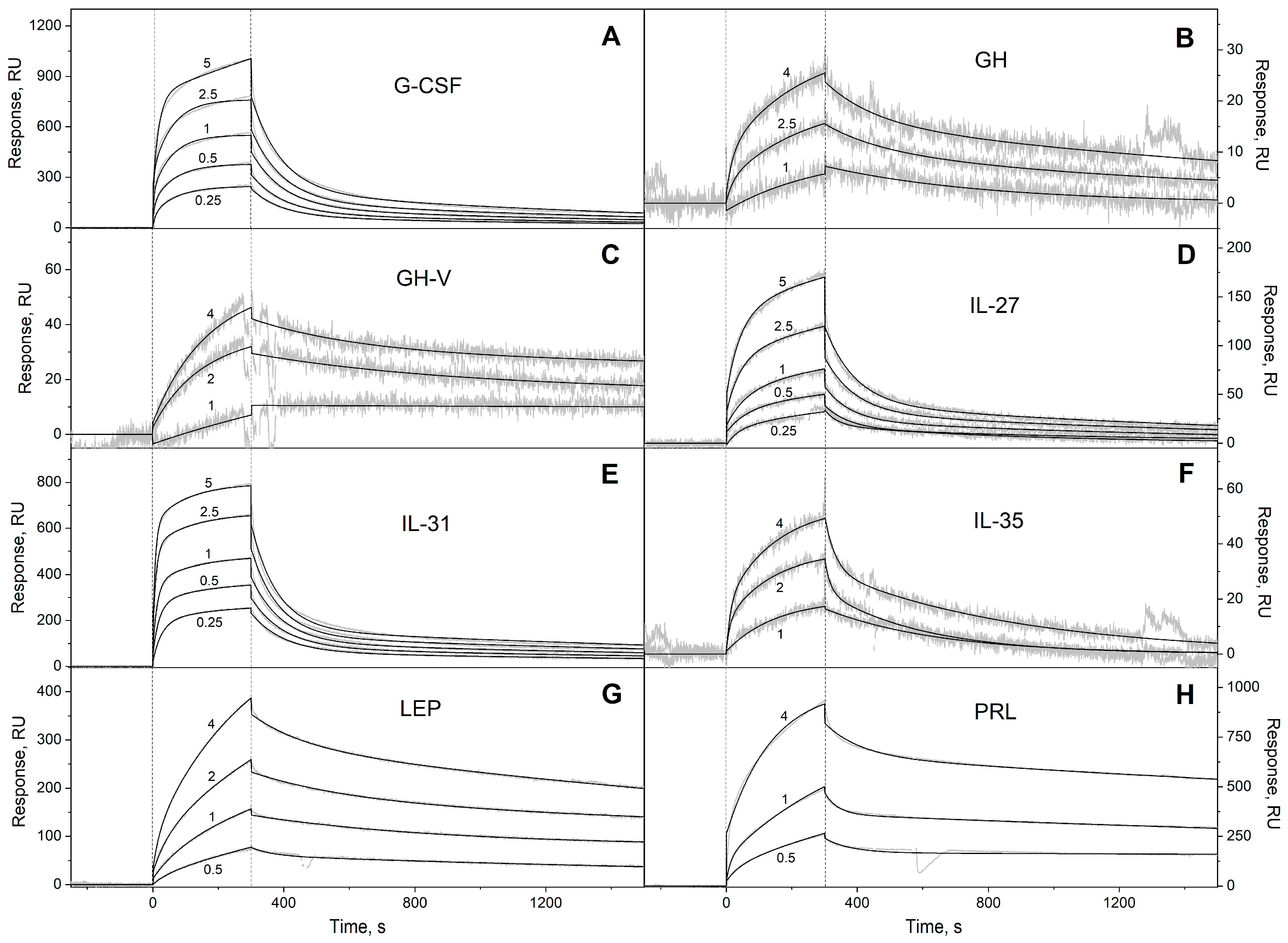 Biomolecules Free FullText Interaction of S100A6 Protein with the