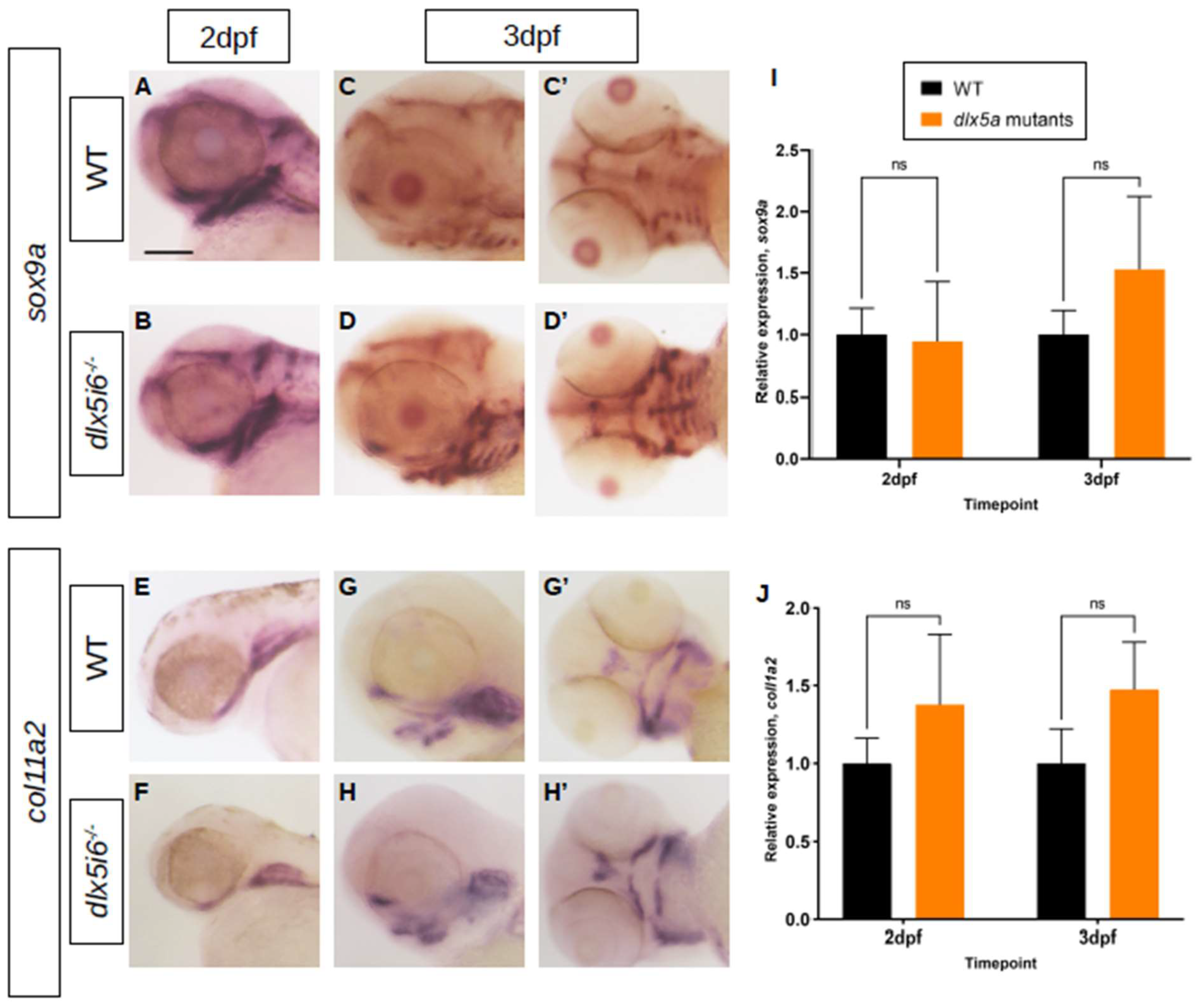 Biomolecules 13 01347 g005 Biomolecules 13 01347 g005