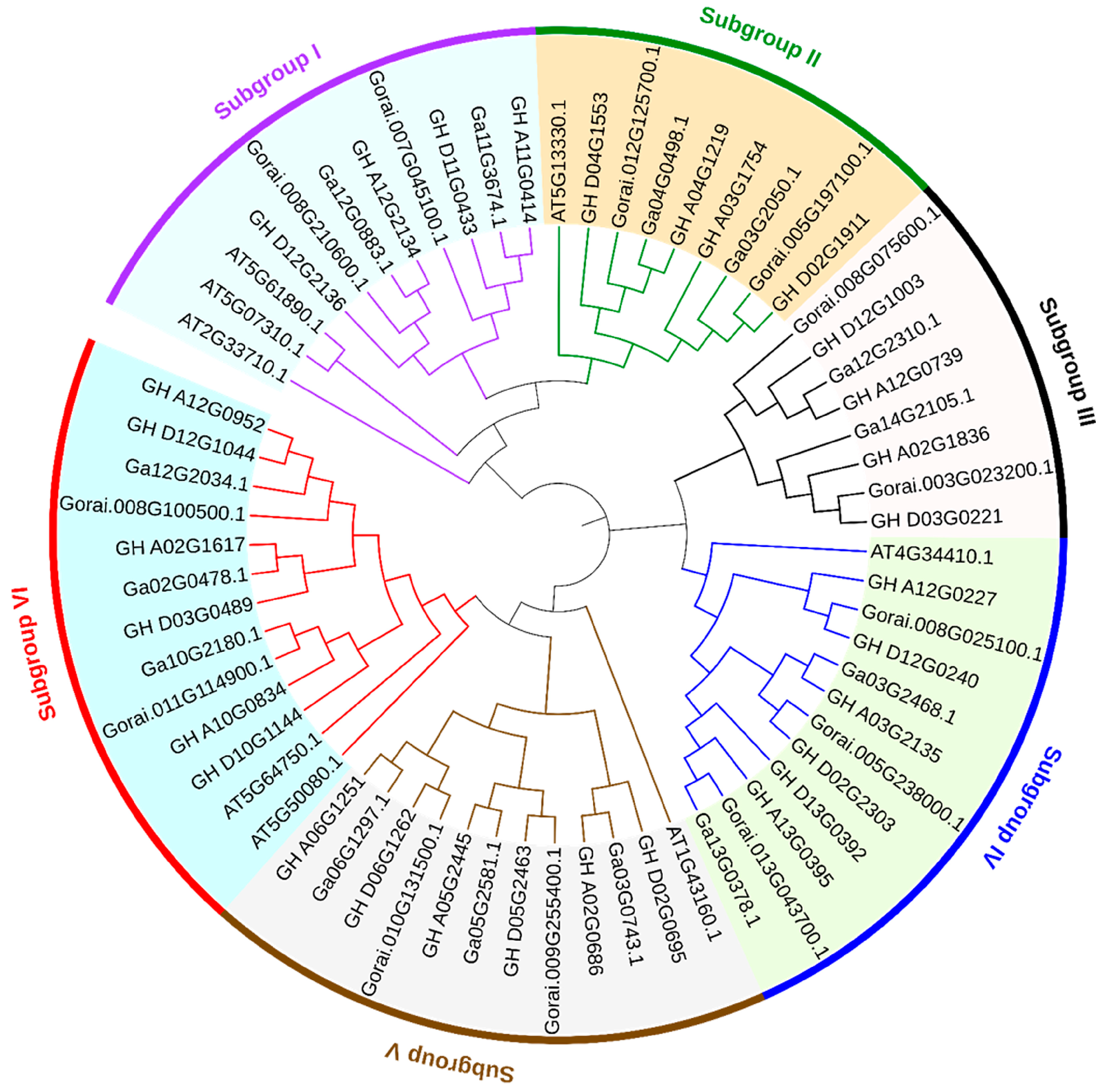 Biomolecules 13 01348 g001 Biomolecules 13 01348 g001
