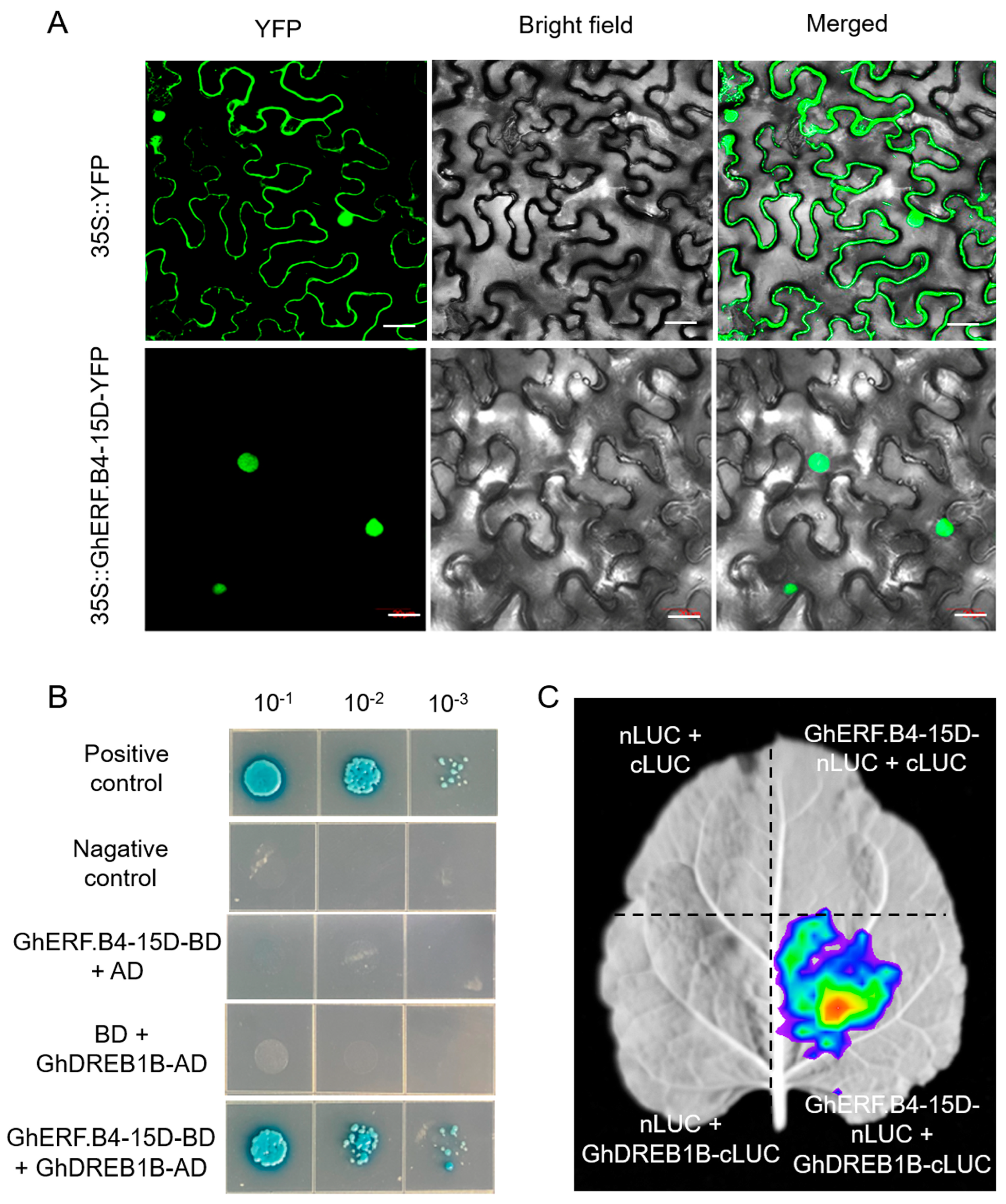 Biomolecules 13 01348 g008 Biomolecules 13 01348 g008