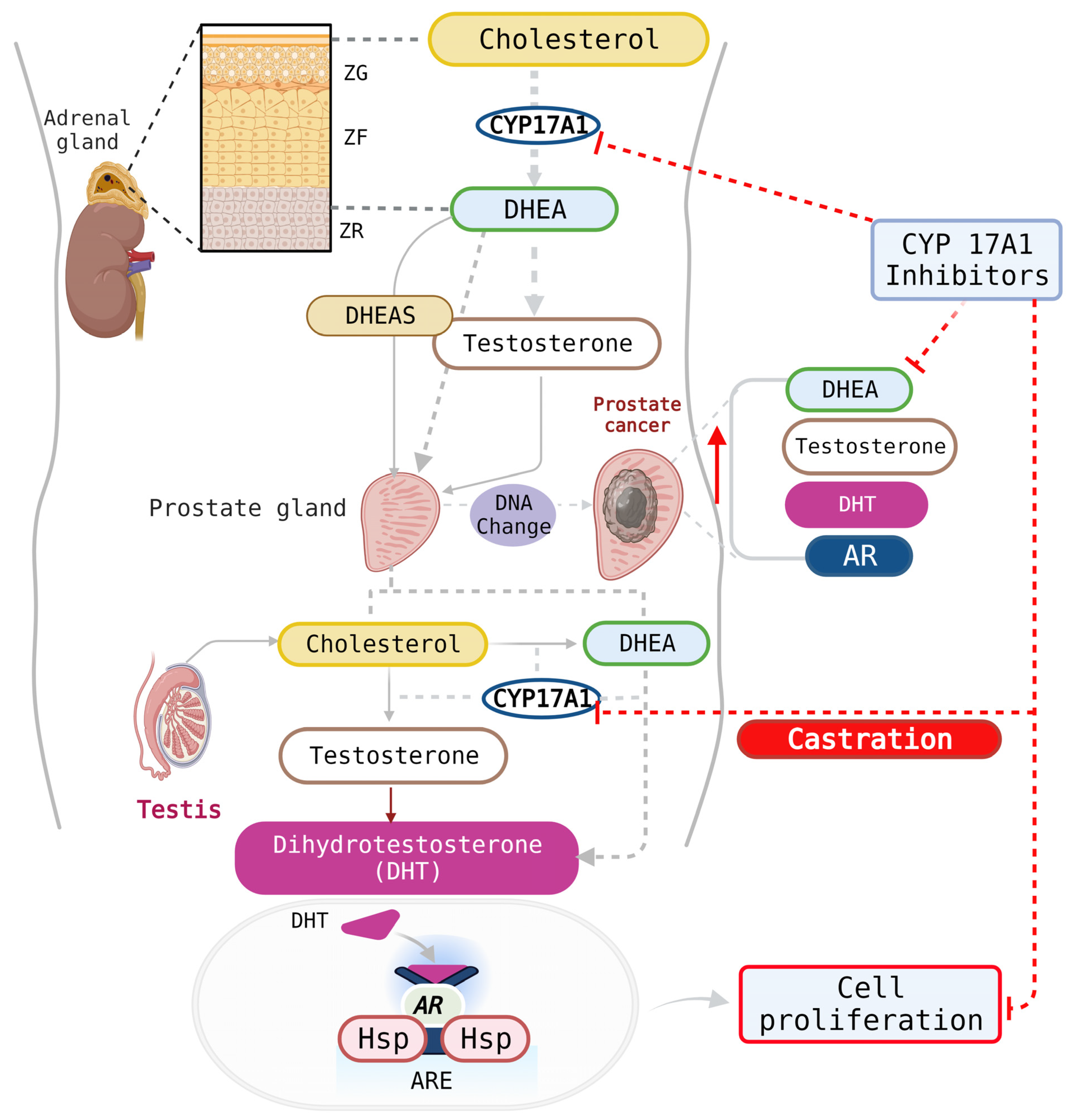 Biomolecules 13 01349 g002 Biomolecules 13 01349 g002