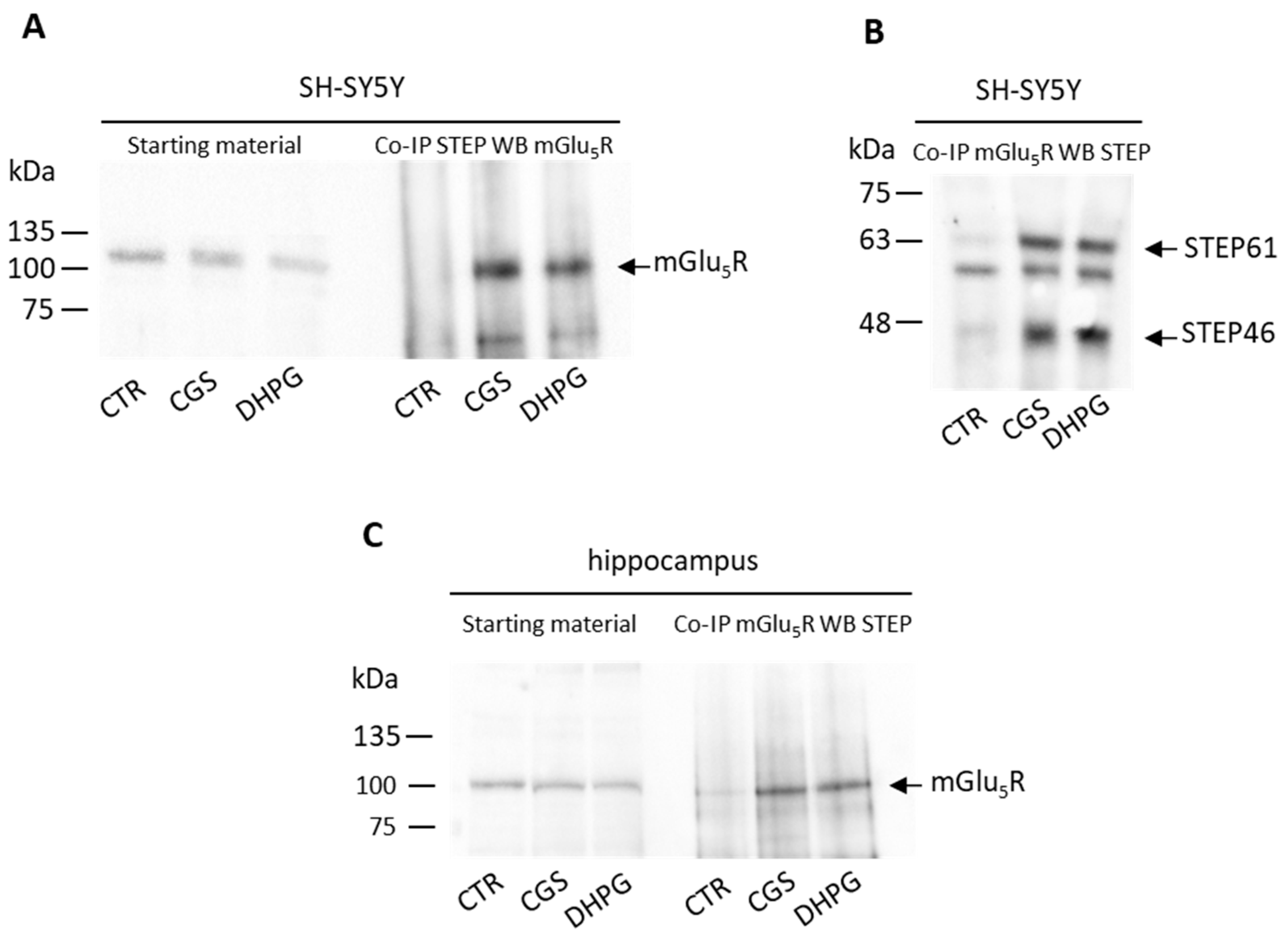 Biomolecules 13 01350 g003 Biomolecules 13 01350 g003