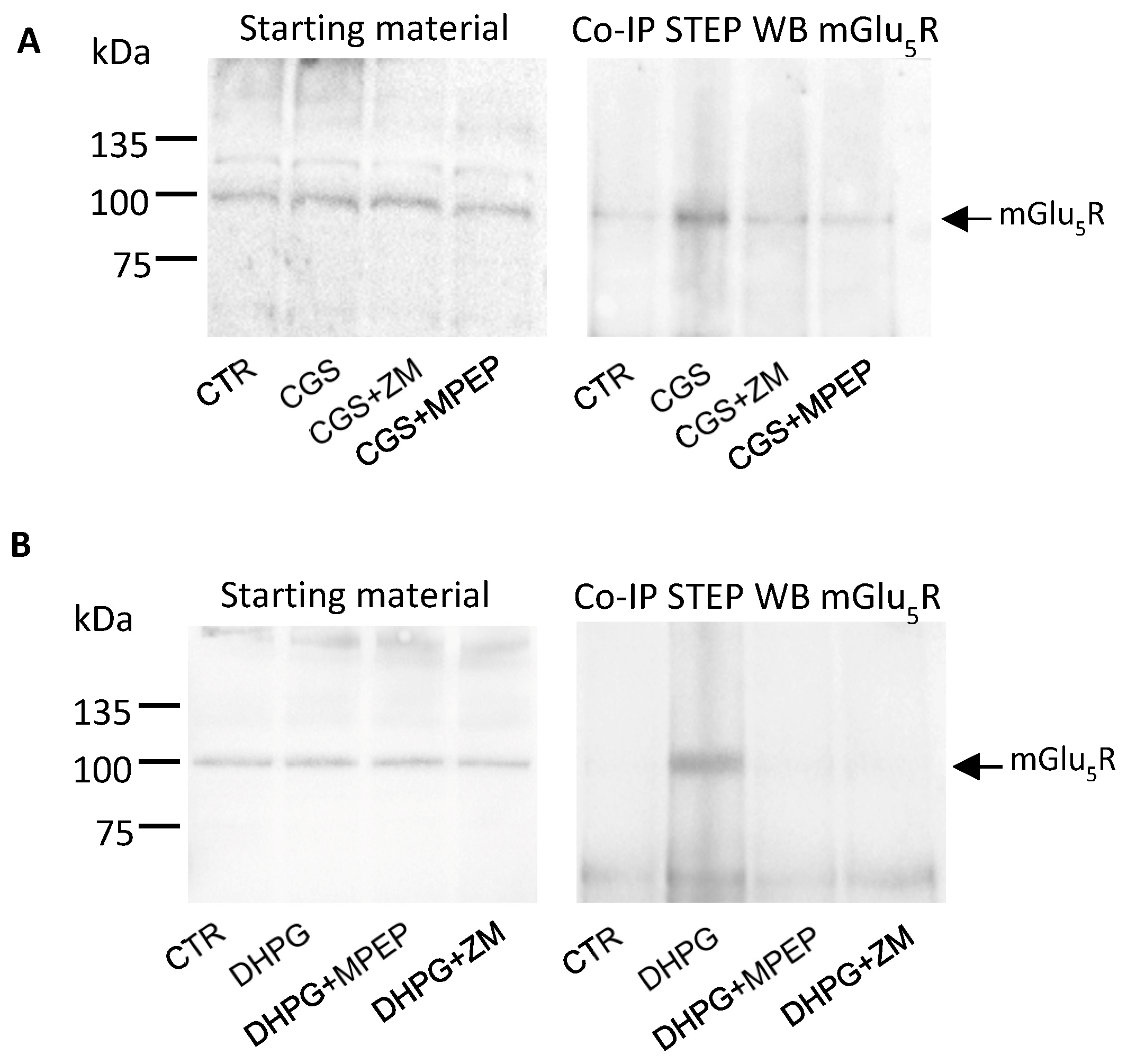 Biomolecules 13 01350 g004 Biomolecules 13 01350 g004