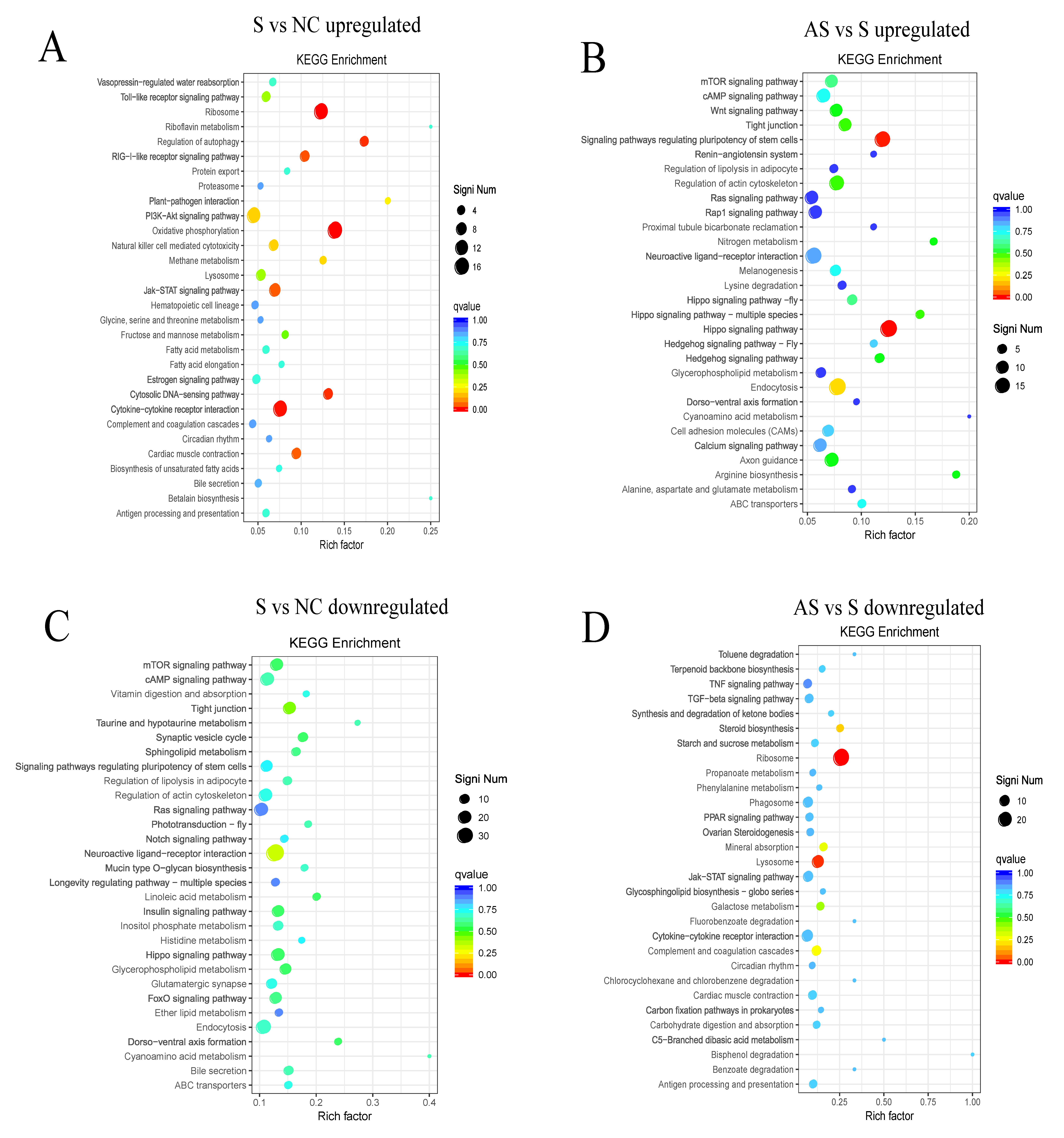 Biomolecules 13 01353 g008 Biomolecules 13 01353 g008