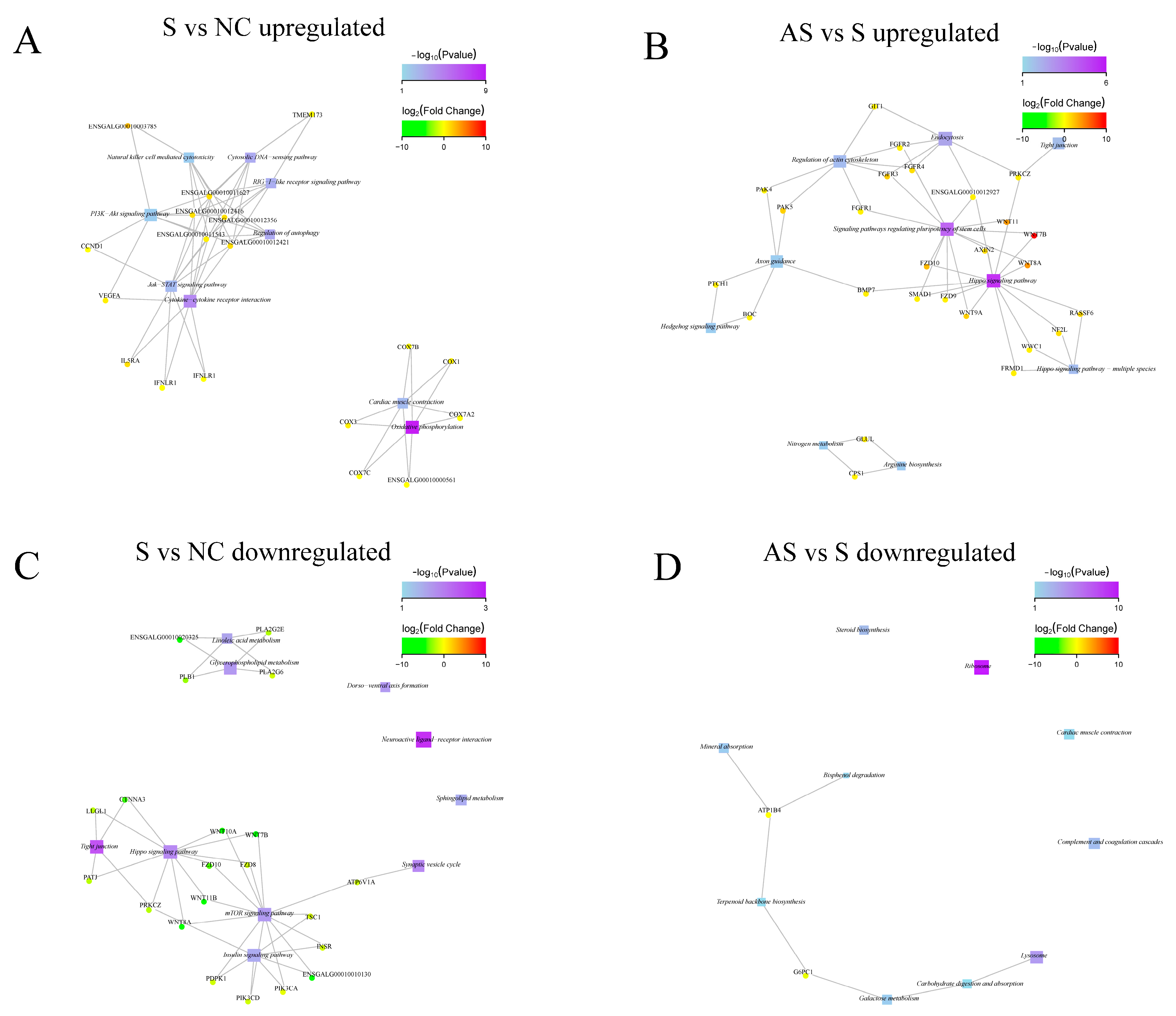 Biomolecules 13 01353 g009 Biomolecules 13 01353 g009