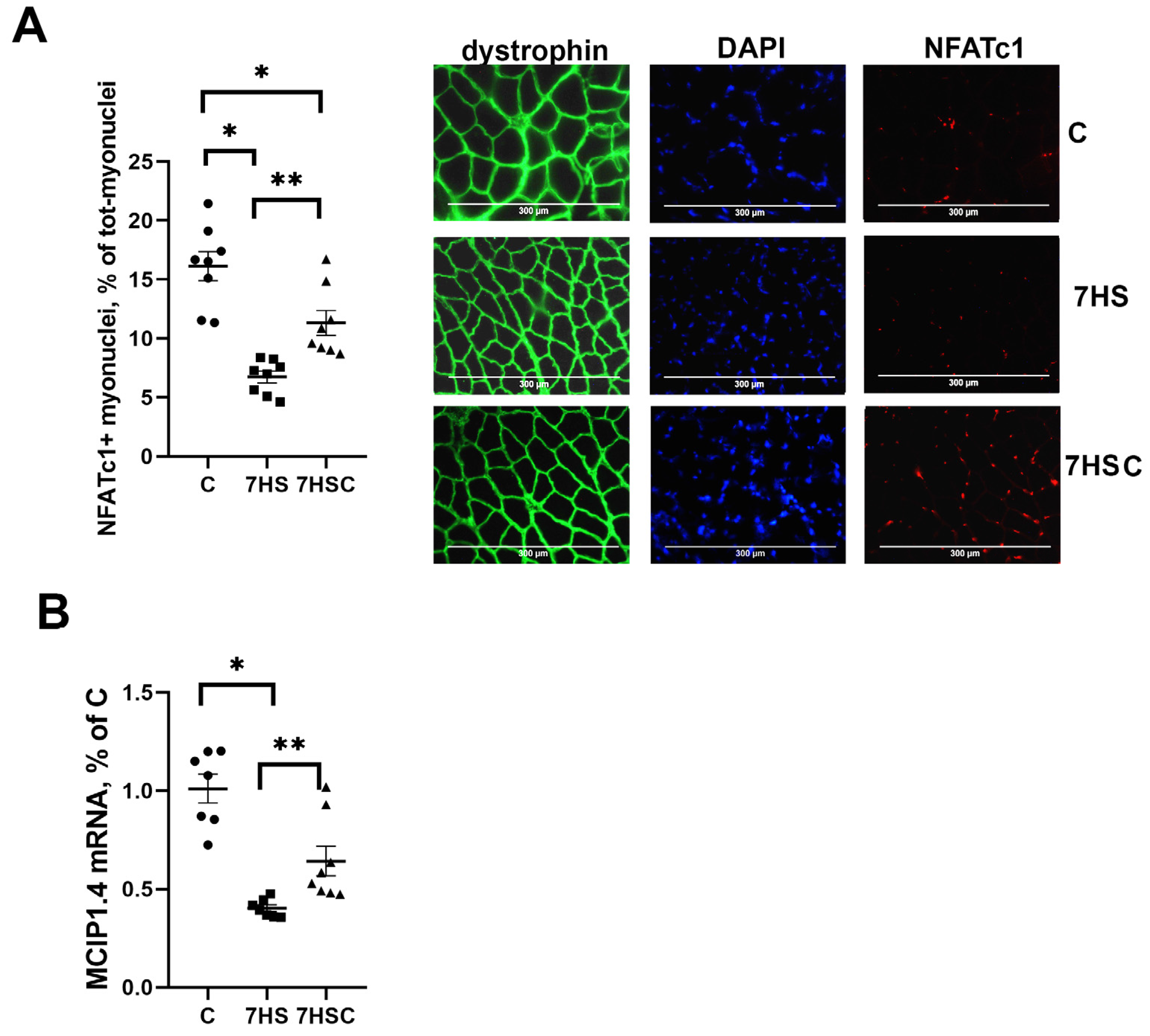 Biomolecules 13 01354 g005 Biomolecules 13 01354 g005
