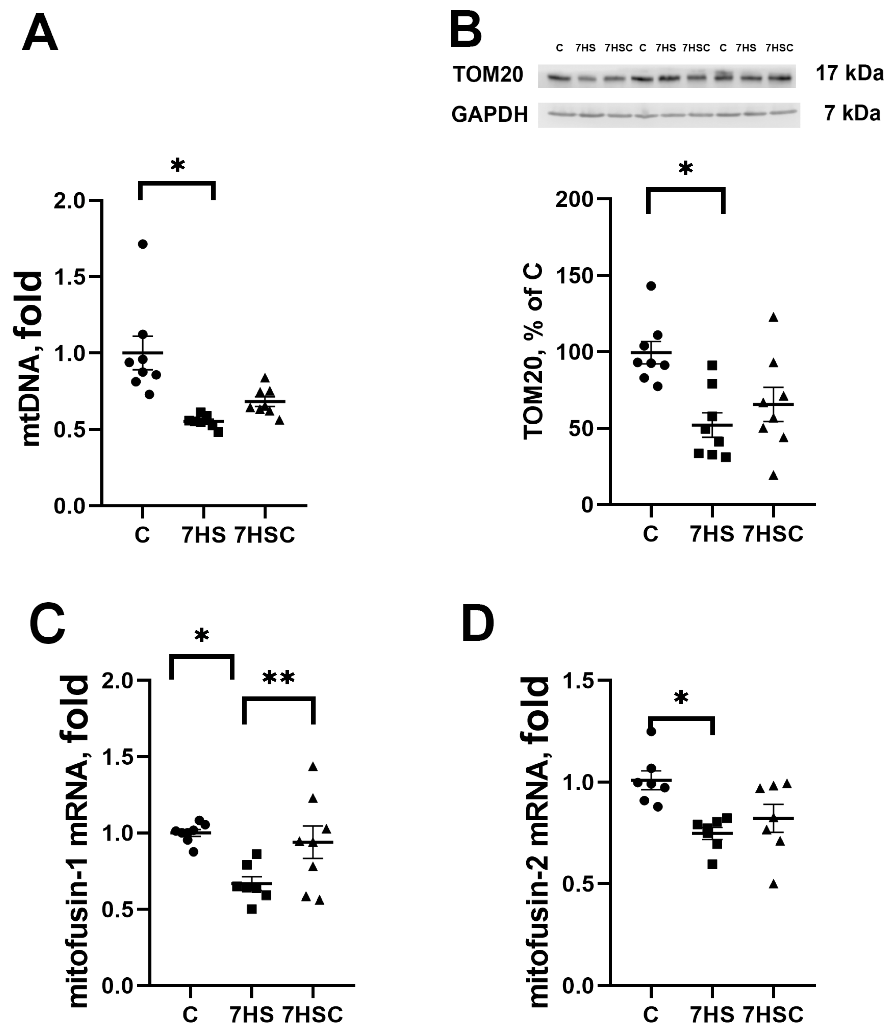 Biomolecules 13 01354 g008 Biomolecules 13 01354 g008