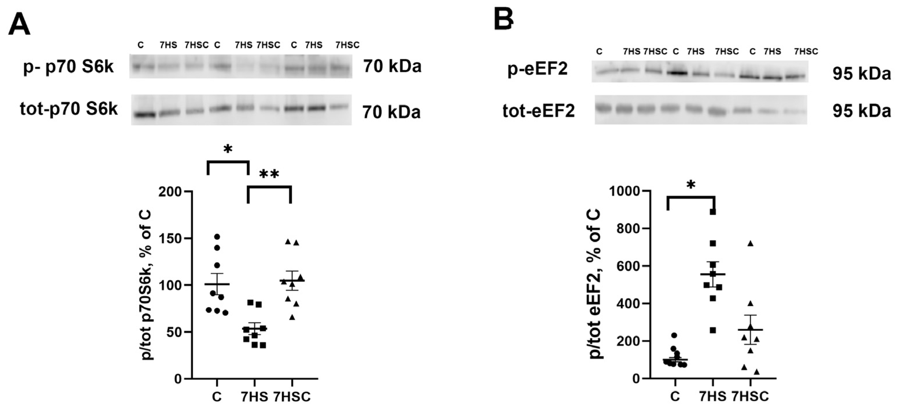 Biomolecules 13 01354 g010 Biomolecules 13 01354 g010