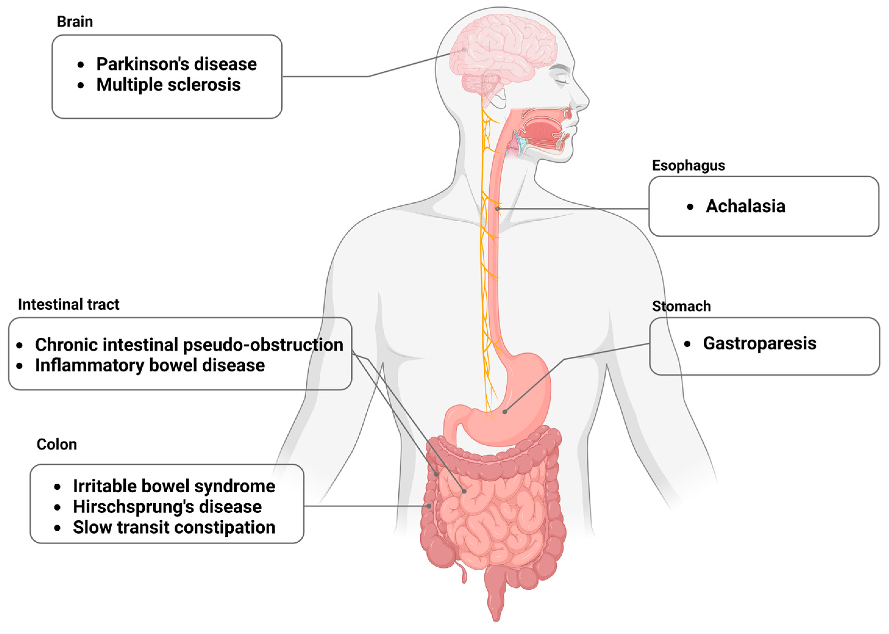 Biomolecules 13 01358 g001 Biomolecules 13 01358 g001