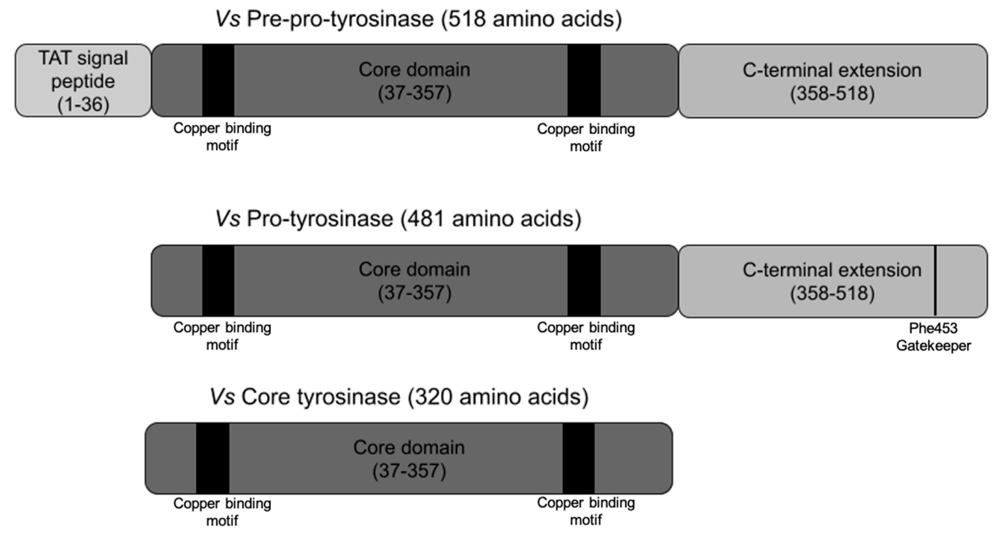 Biomolecules 13 01360 g001