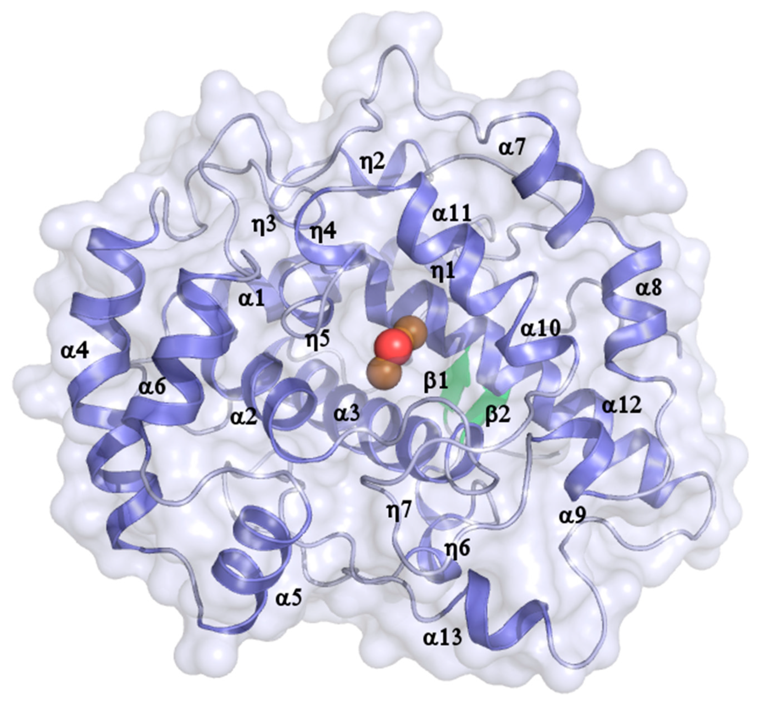 Biomolecules 13 01360 g002